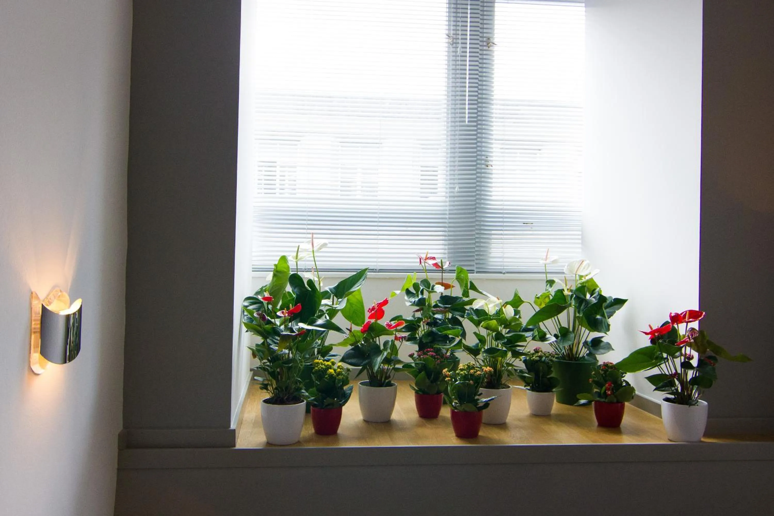 Other in Garden Hotel