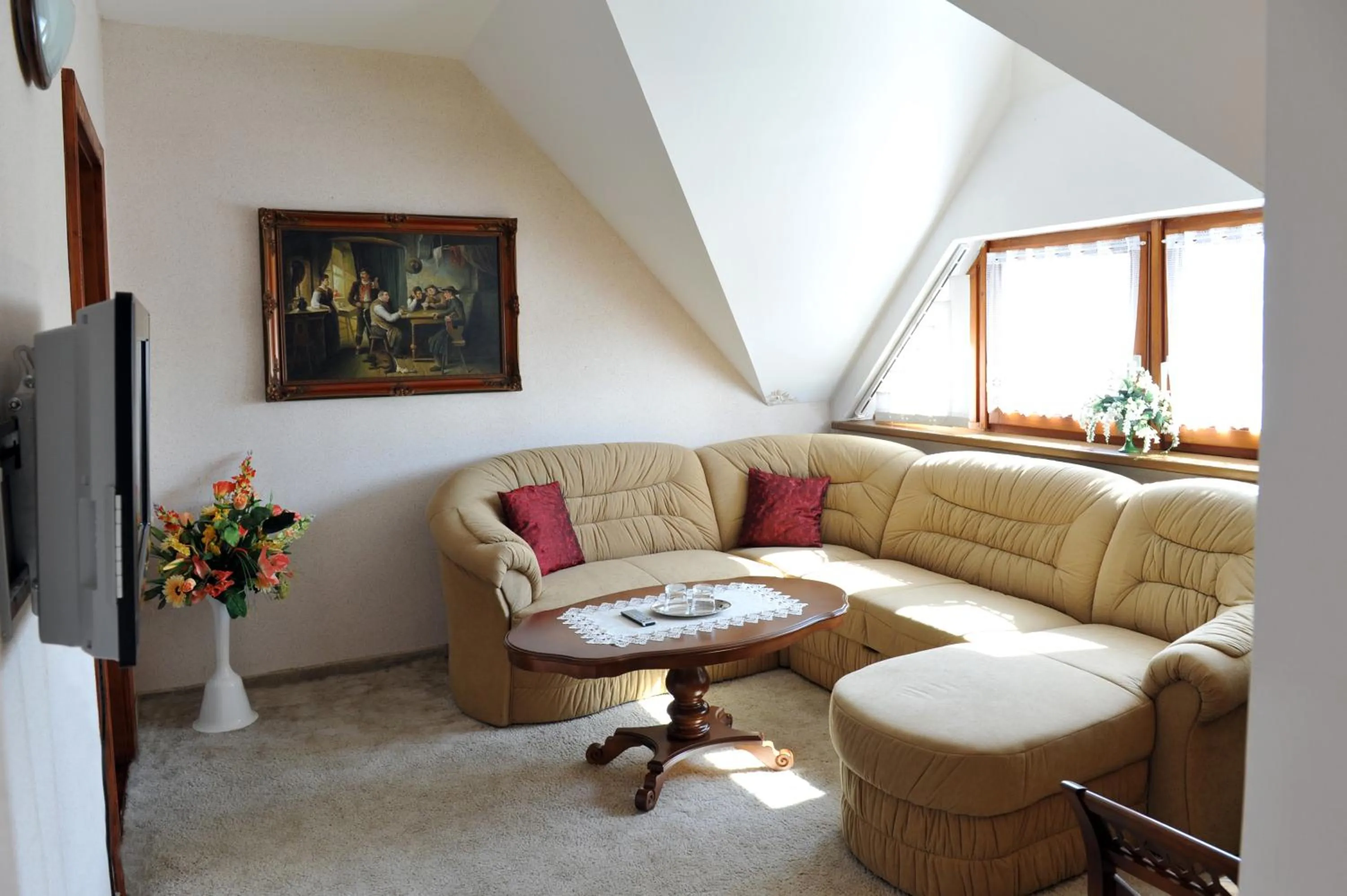 TV and multimedia in Penzion Panda