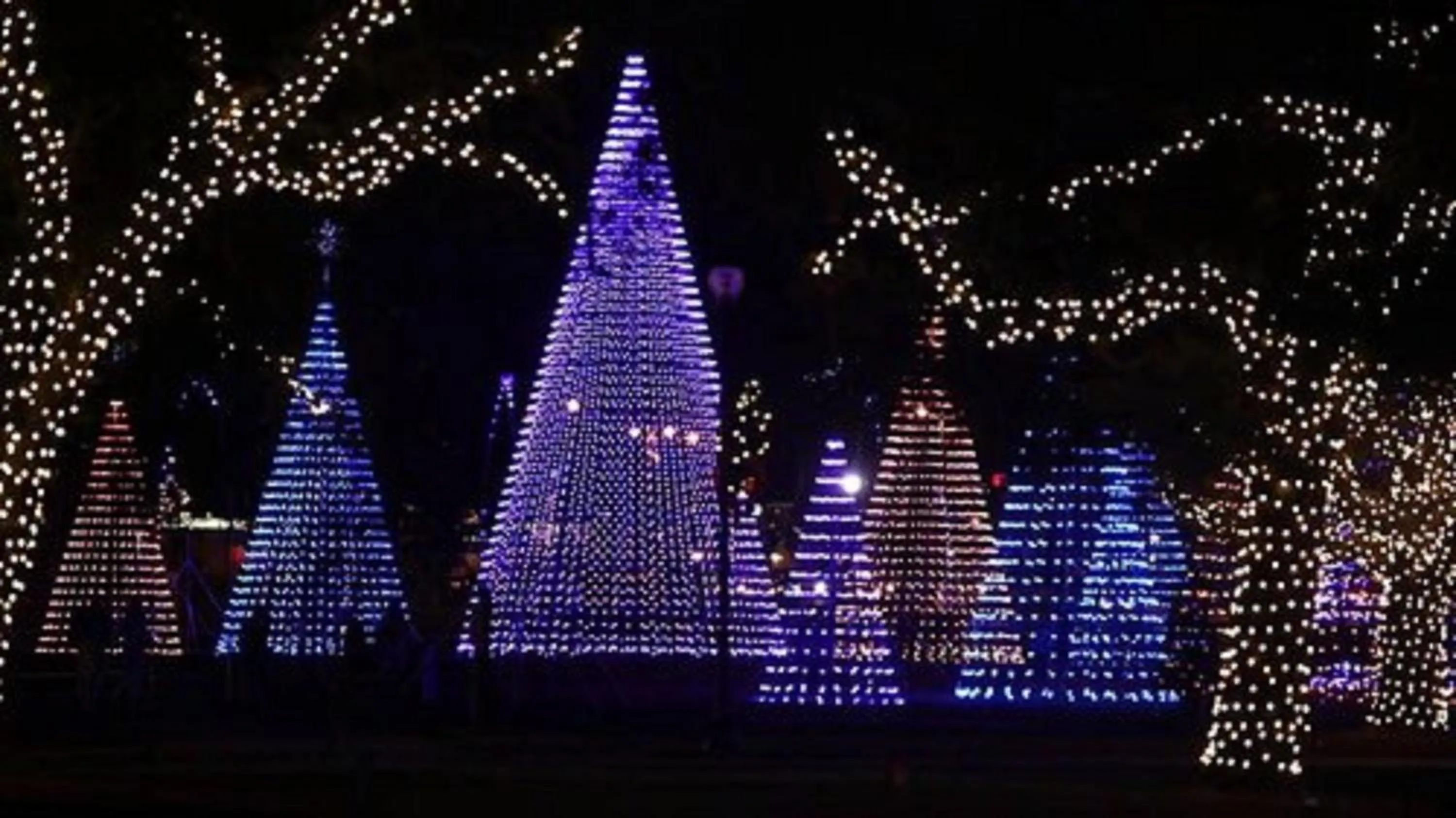 Nearby landmark in Holiday Inn Express - Gulfport Beach by IHG