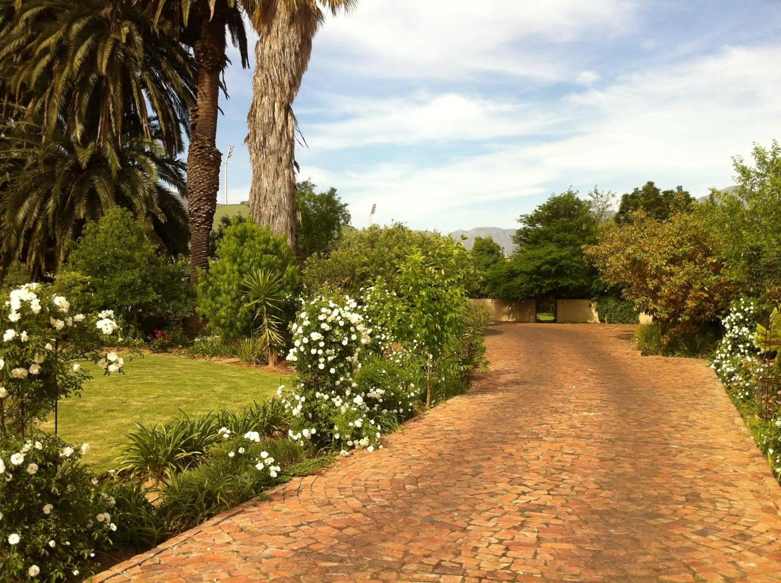 B&B Sauvignon Country Lodge