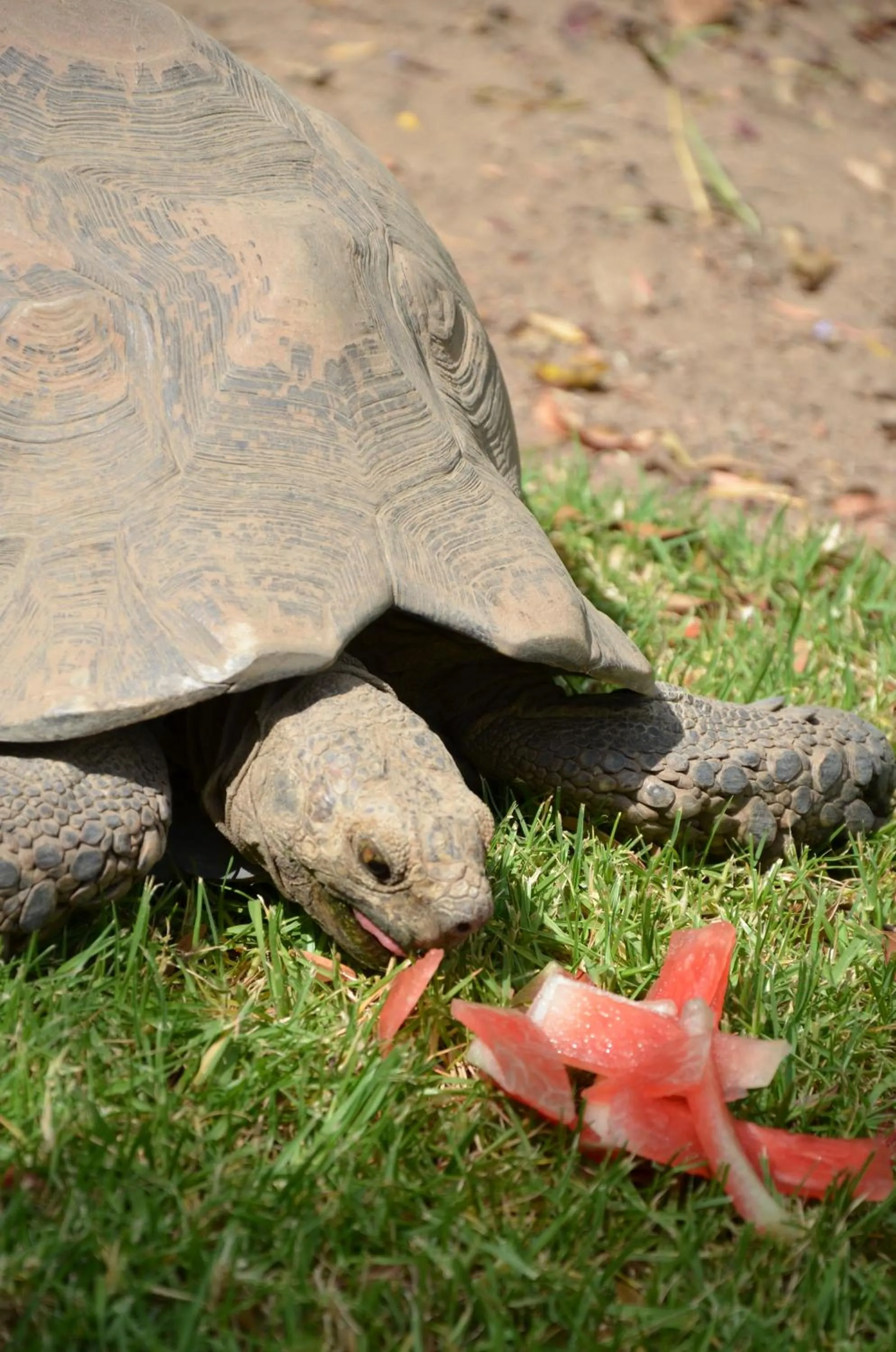 B&B Sauvignon Country Lodge