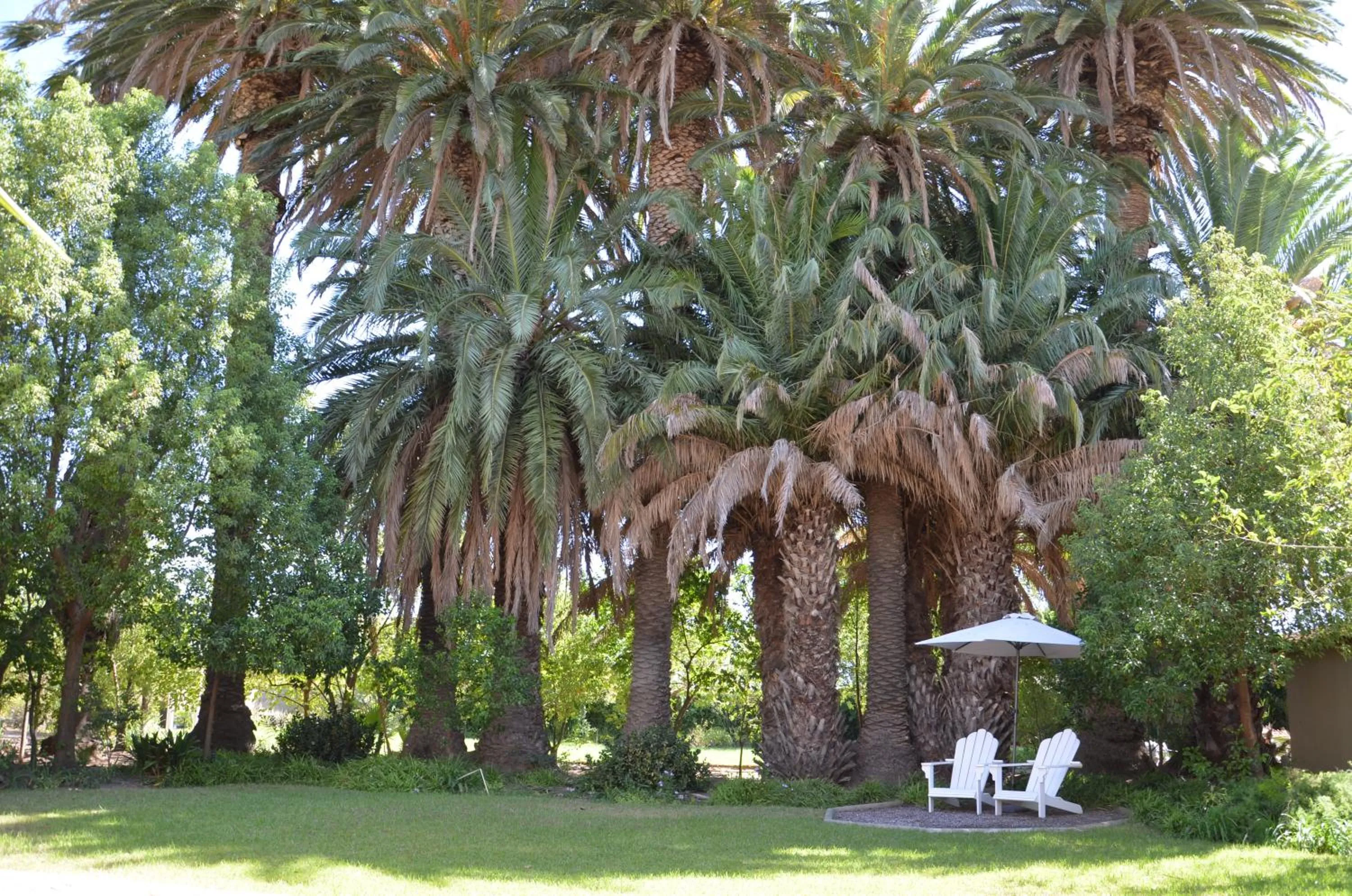 Garden in B&B Sauvignon Country Lodge