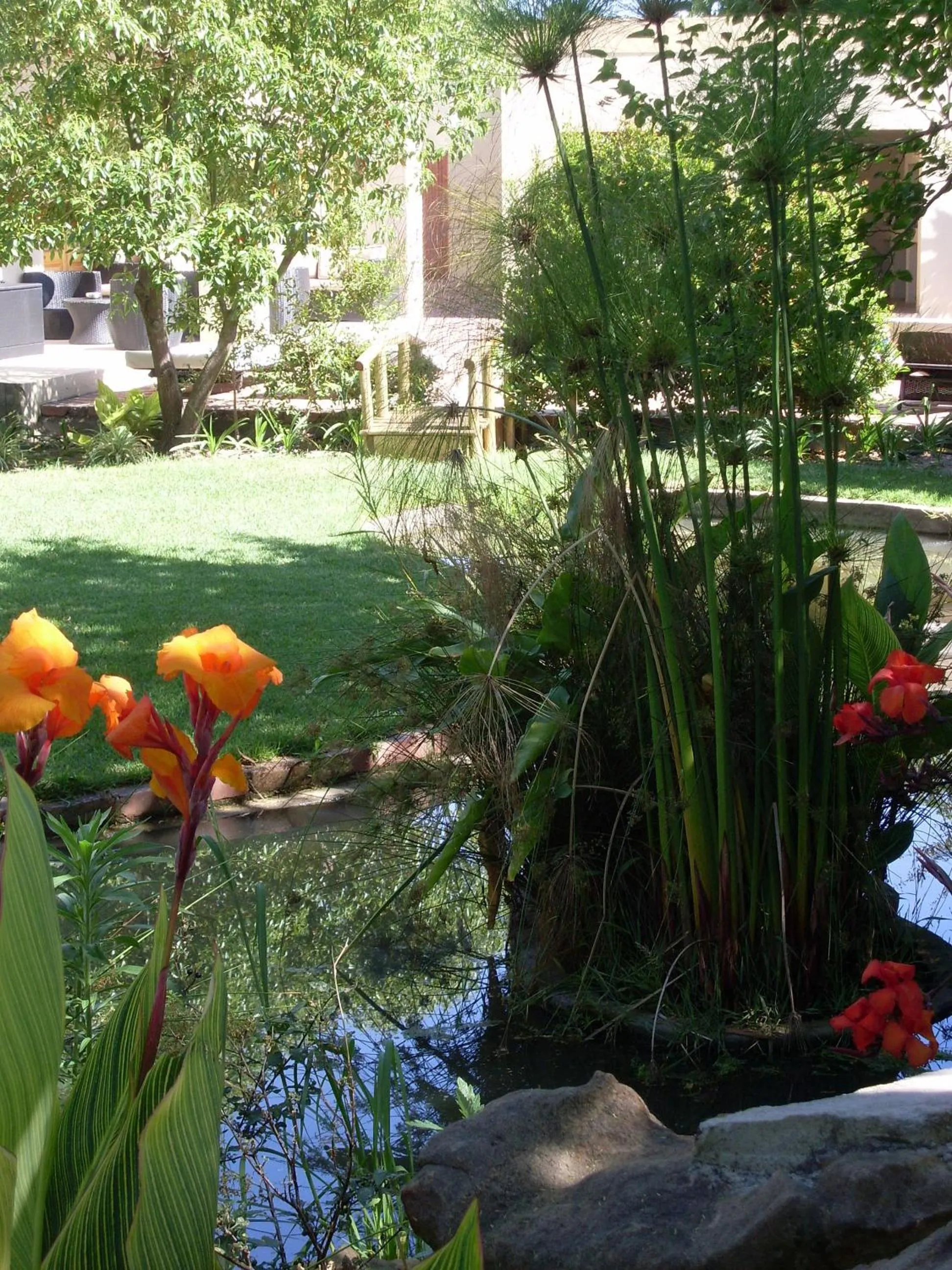 B&B Sauvignon Country Lodge