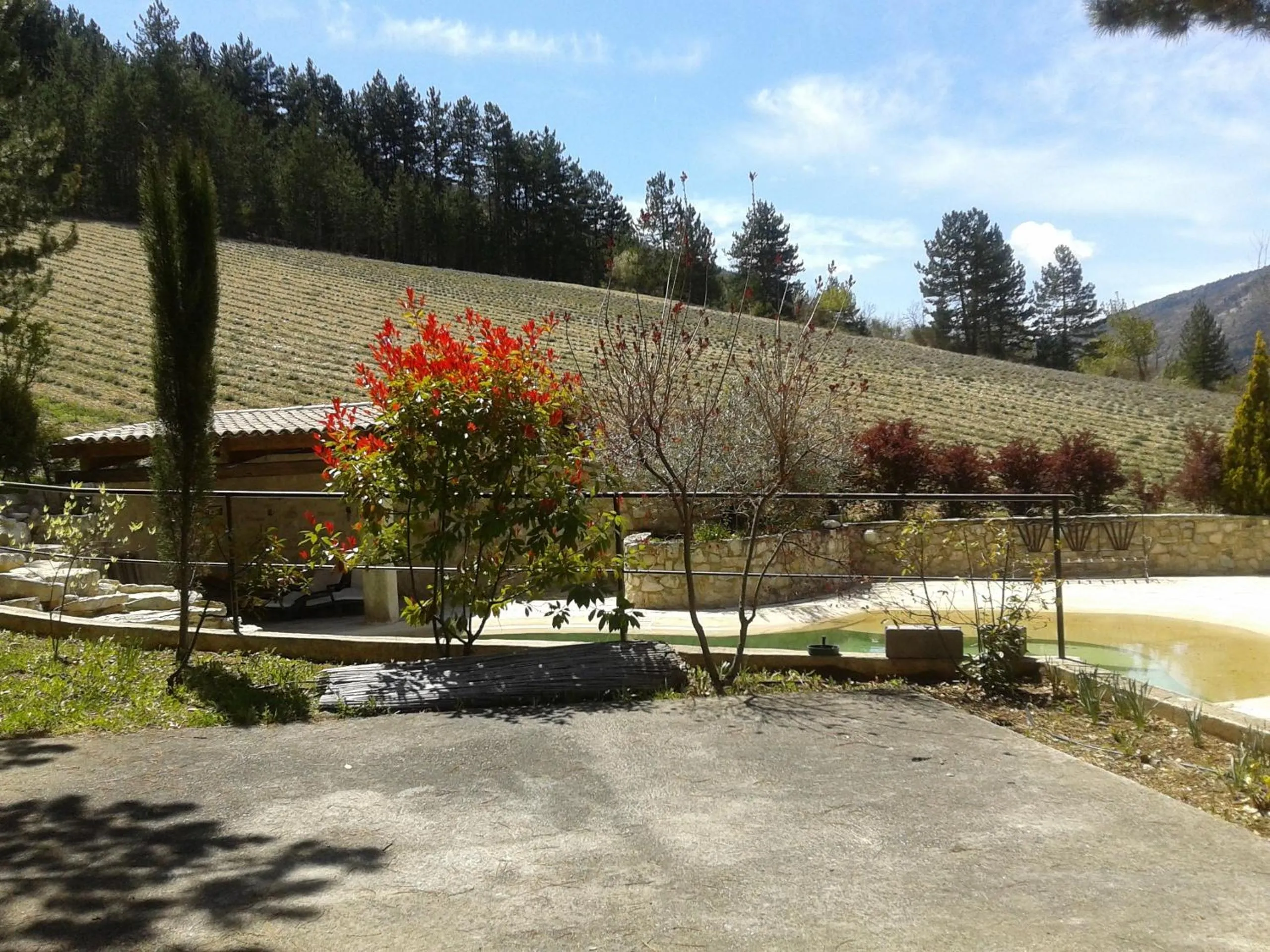 Garden view in B&B Le Deffends de Redon