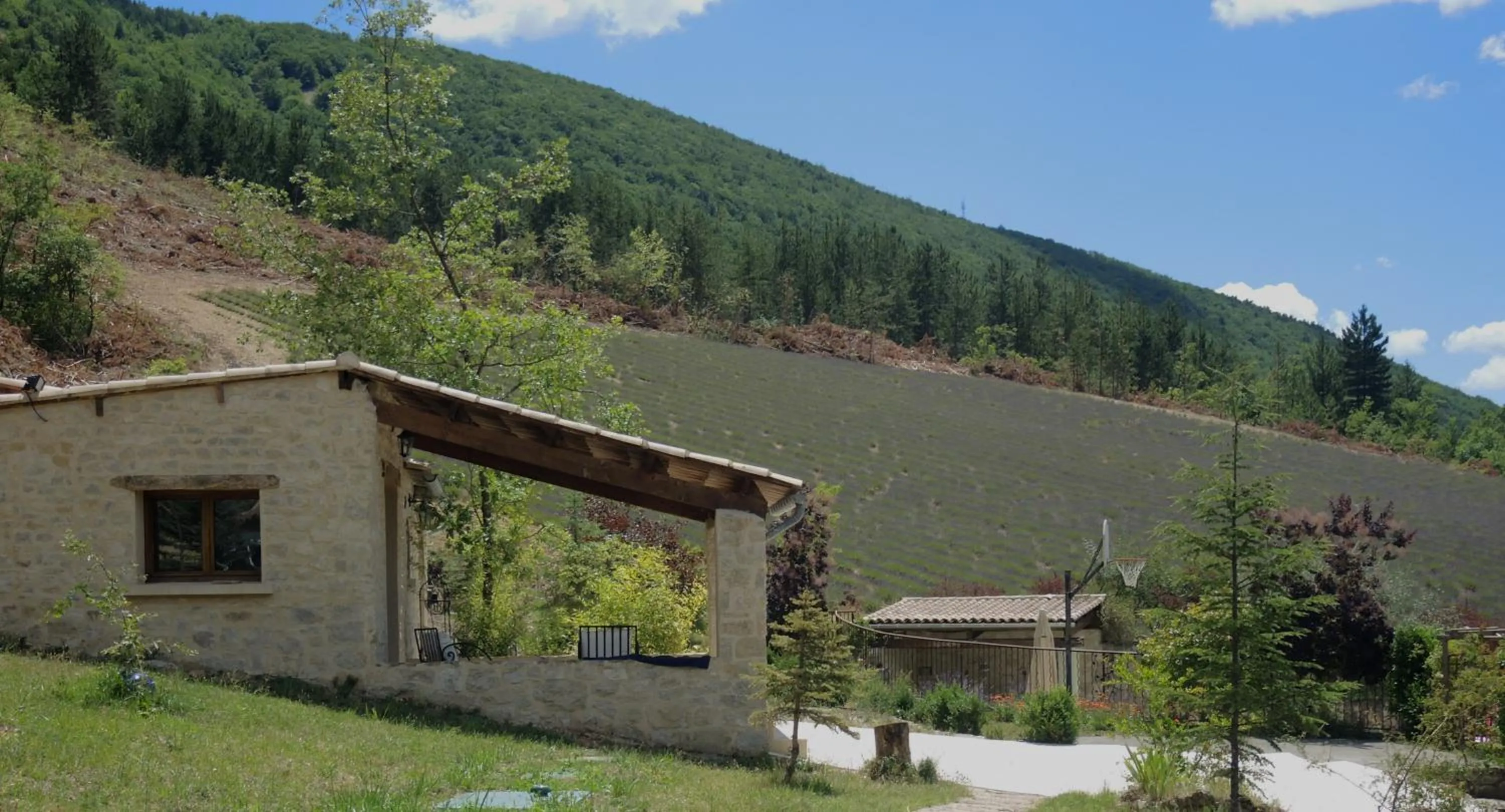 Garden view in B&B Le Deffends de Redon