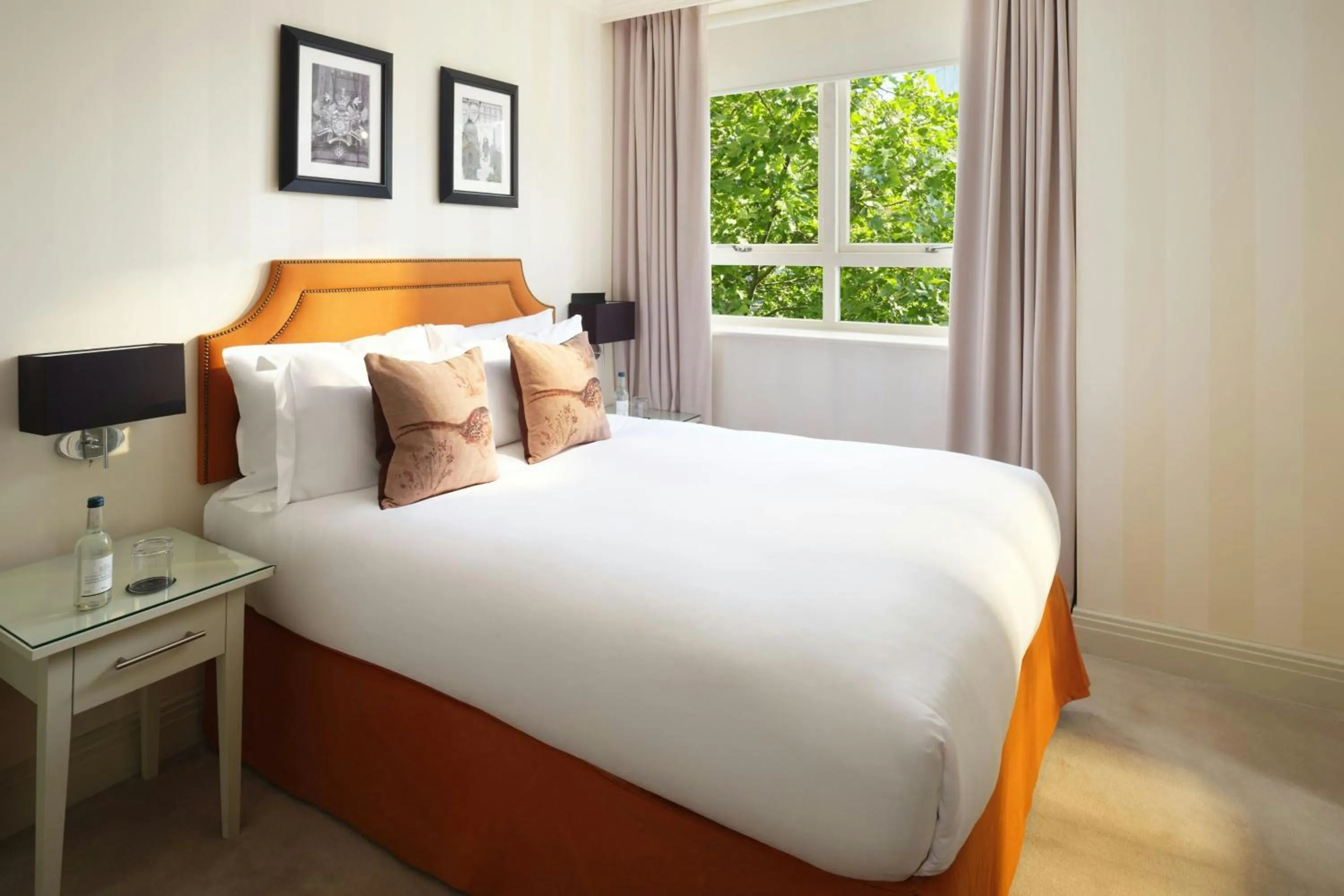 Photo of the whole room, Bed in Hotel Xenia - Autograph Collection