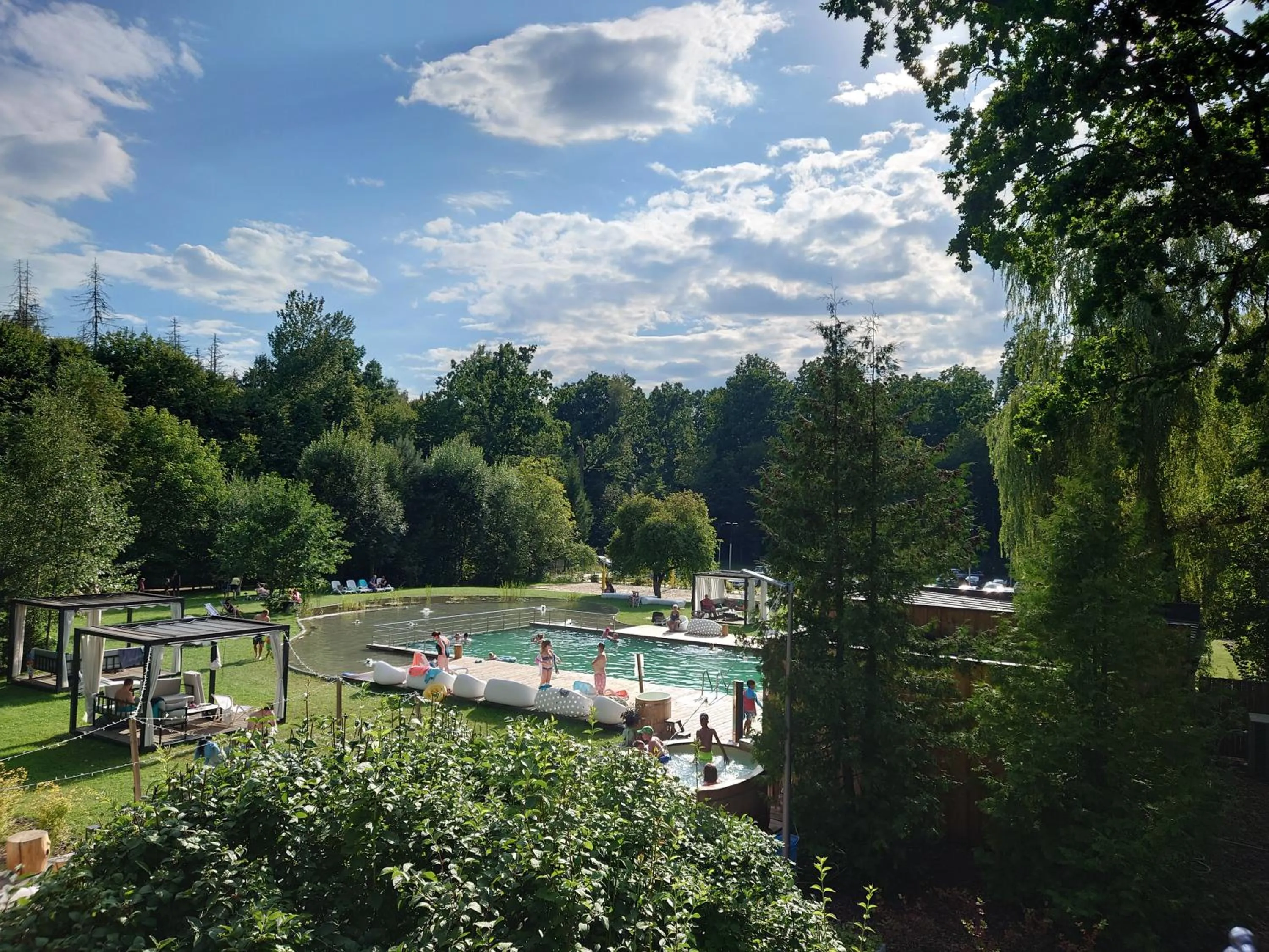 Natural landscape in Enklawa Białowieska Forest & Spa