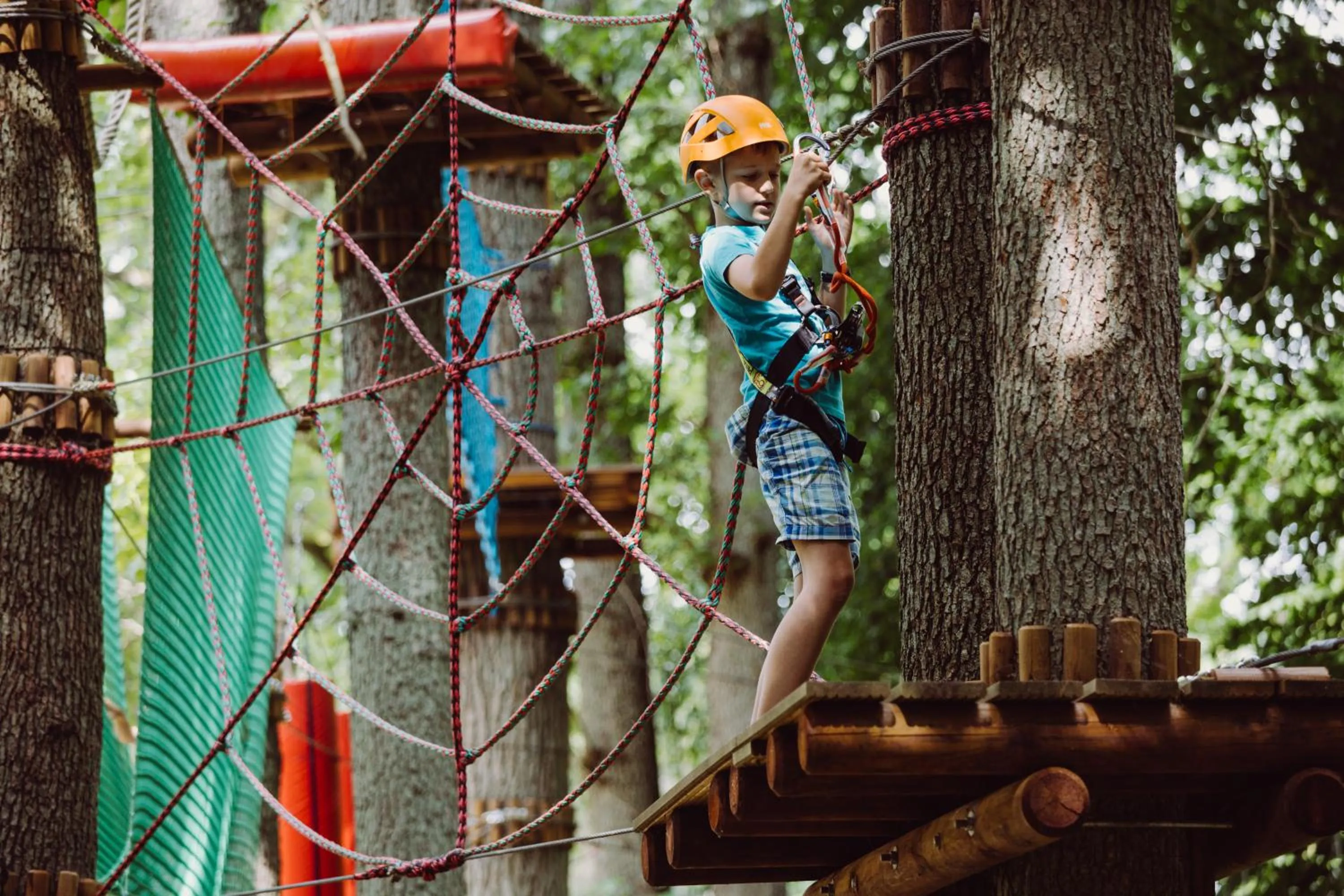 Activities in Enklawa Białowieska Forest & Spa