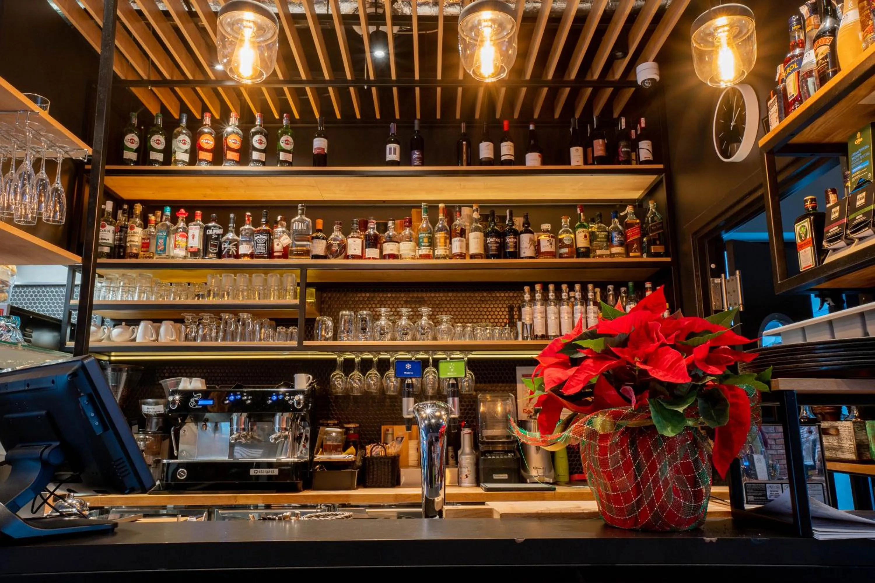 Enklawa Białowieska Forest & Spa