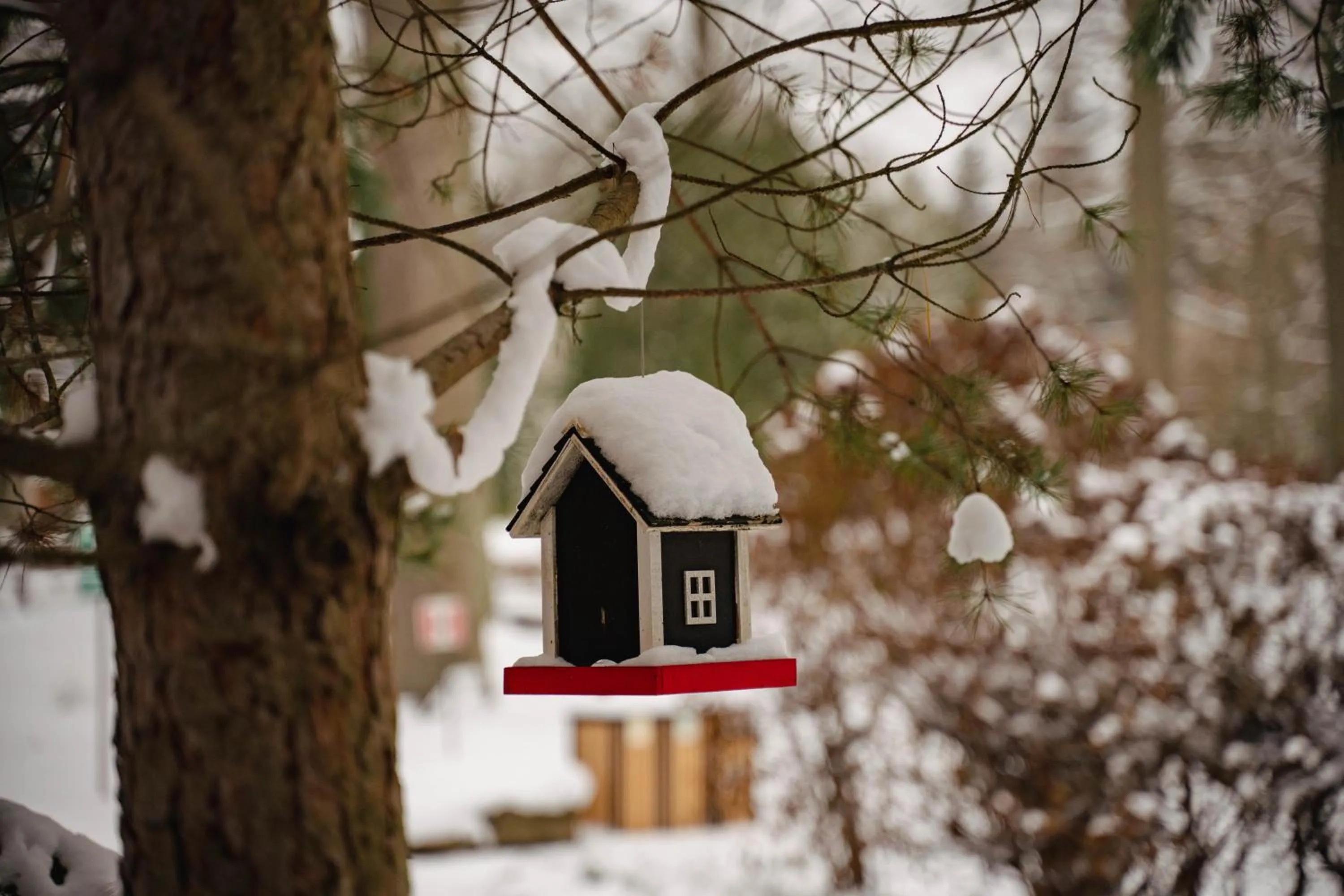 Enklawa Białowieska Forest & Spa