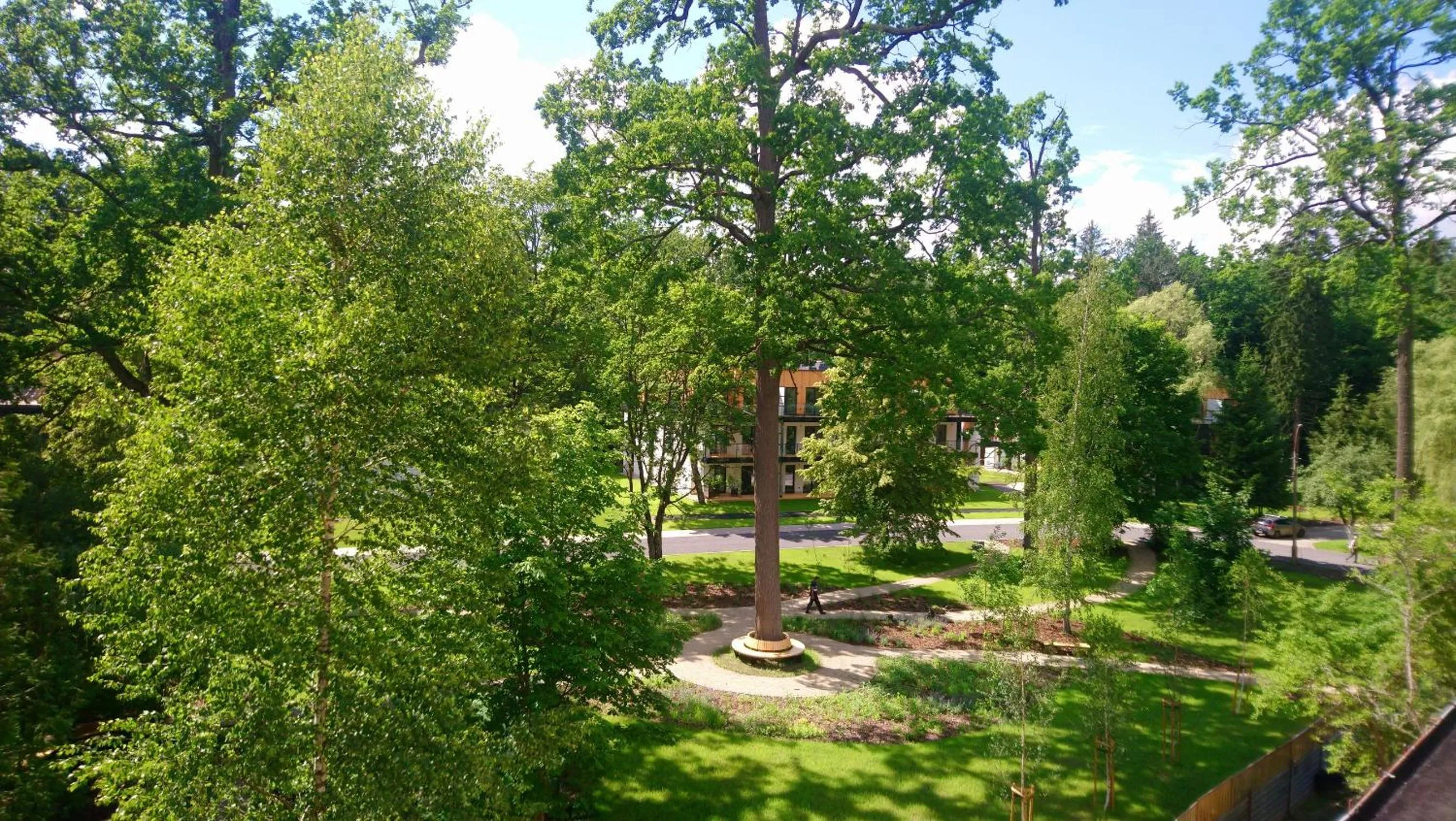 View (from property/room) in Enklawa Białowieska Forest & Spa