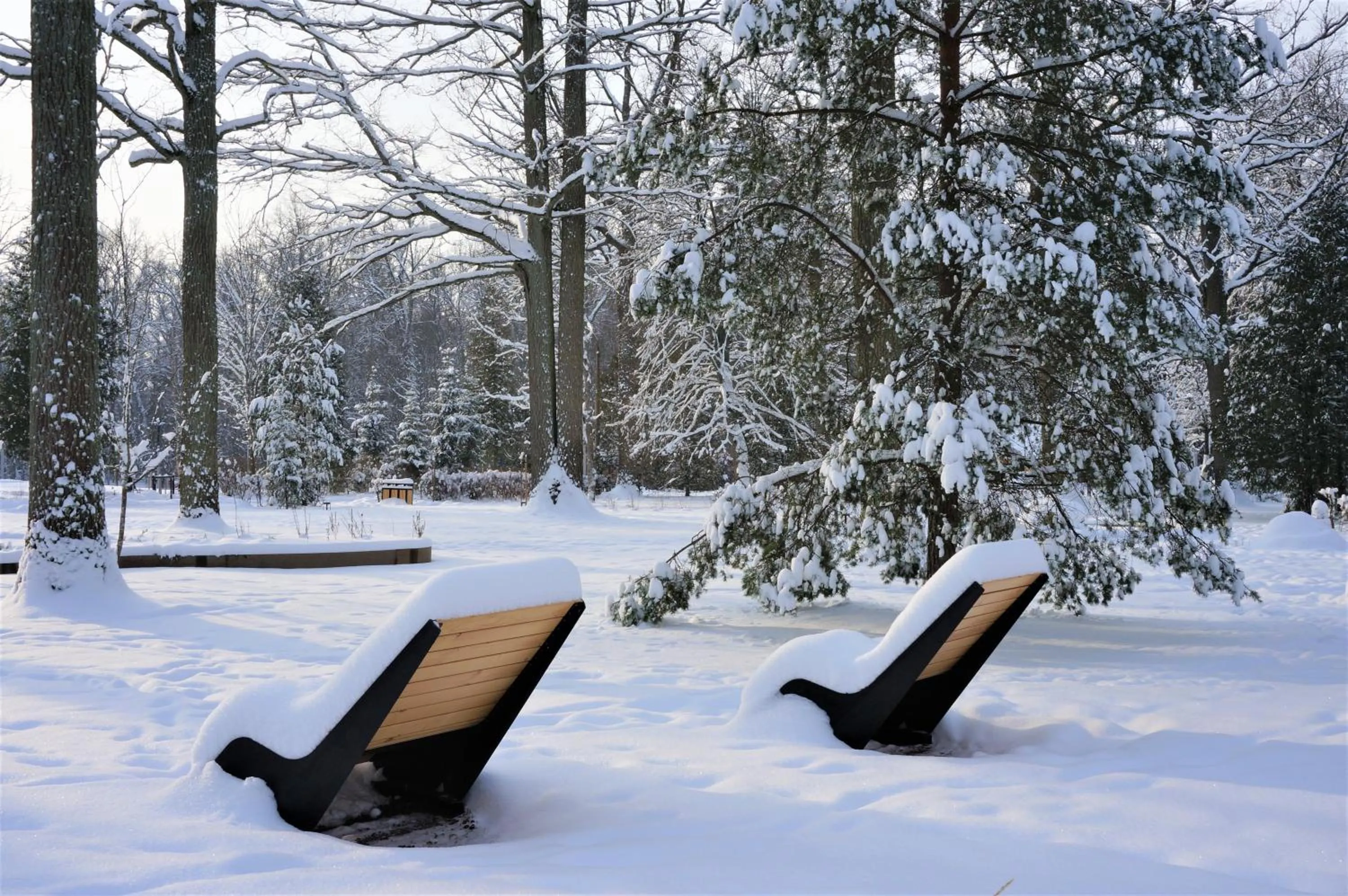 Enklawa Białowieska Forest & Spa