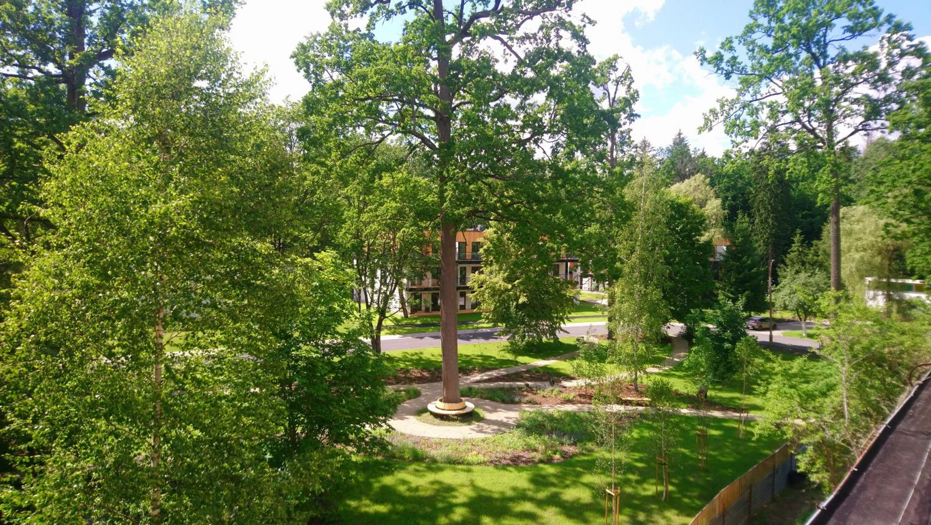 View (from property/room) in Enklawa Białowieska Forest & Spa