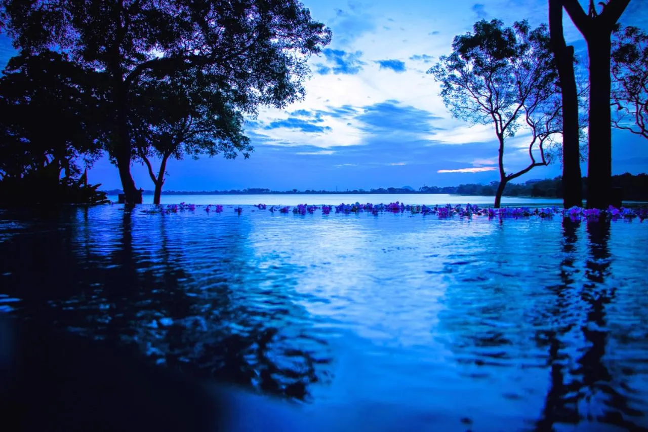 Natural landscape in The Lake Forest Hotel