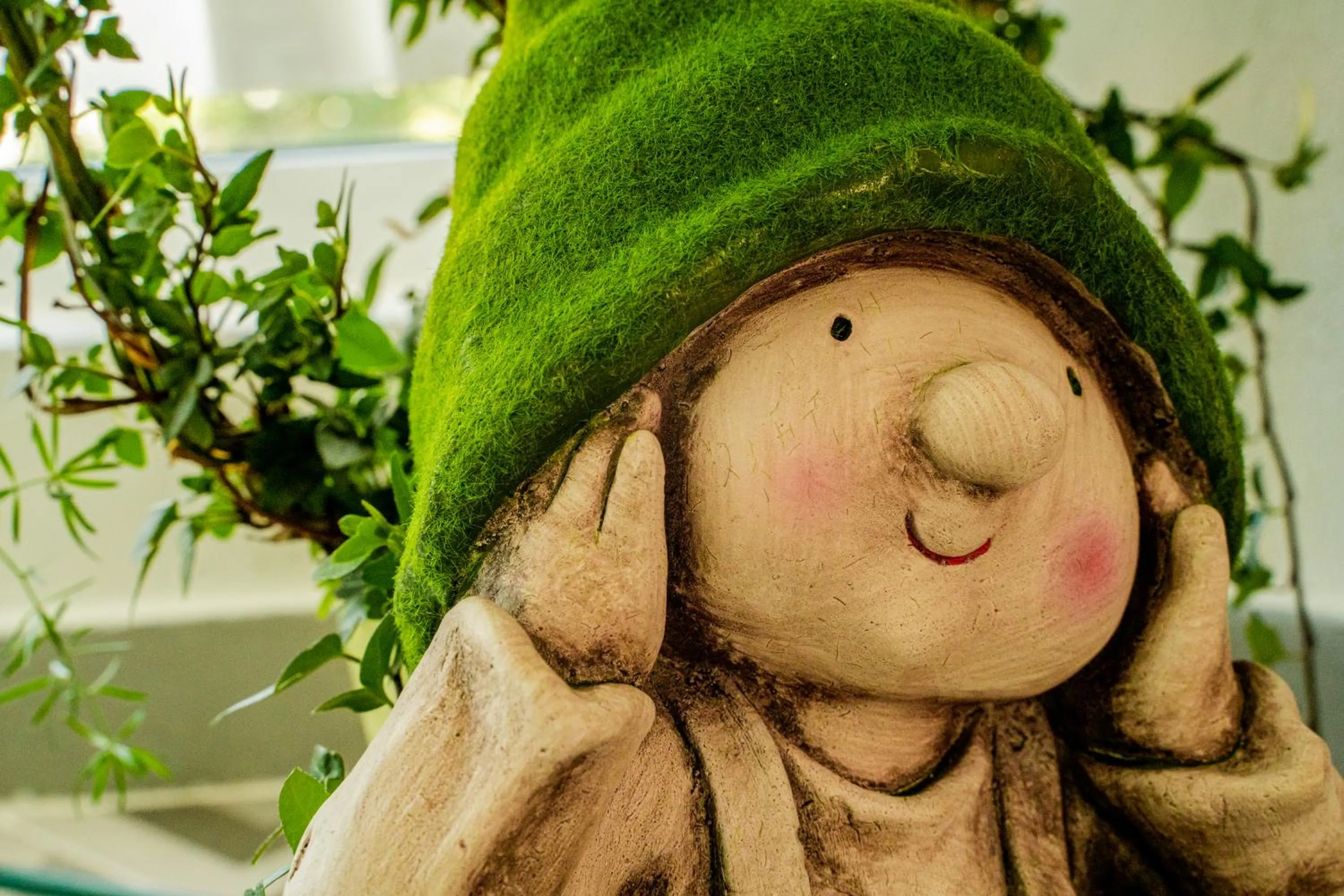 Paz & Amor Guest House - Peace & Love