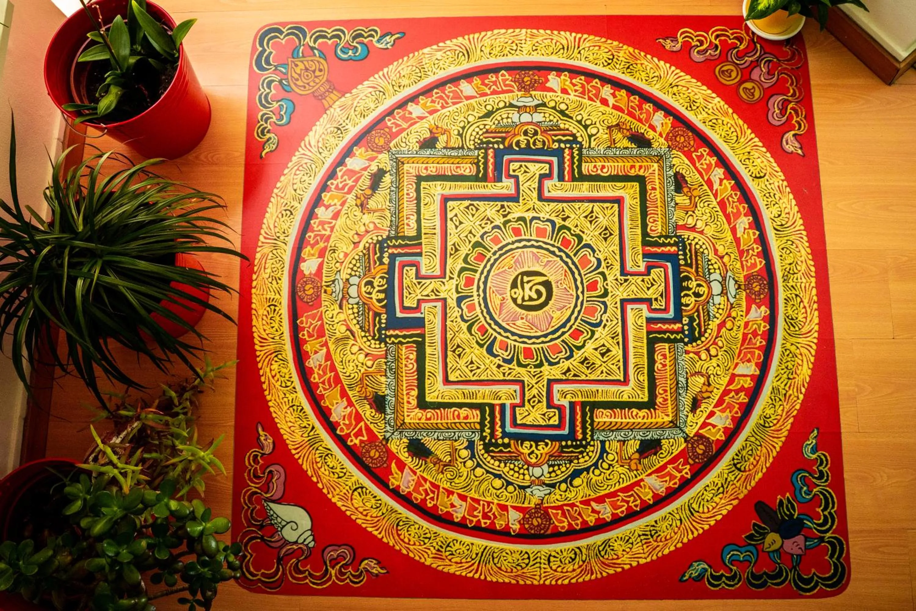 Paz & Amor Guest House - Peace & Love