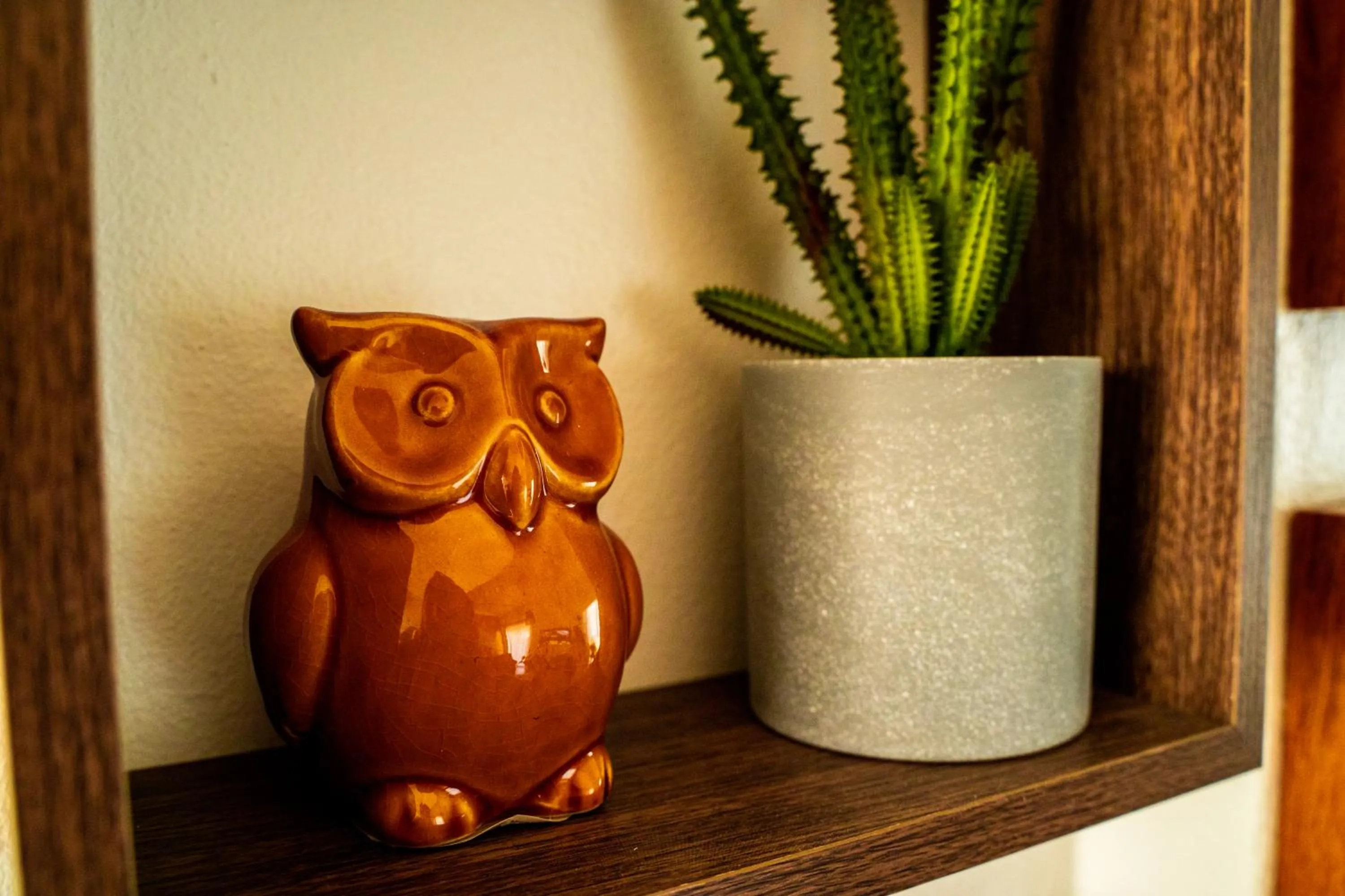 Paz & Amor Guest House - Peace & Love