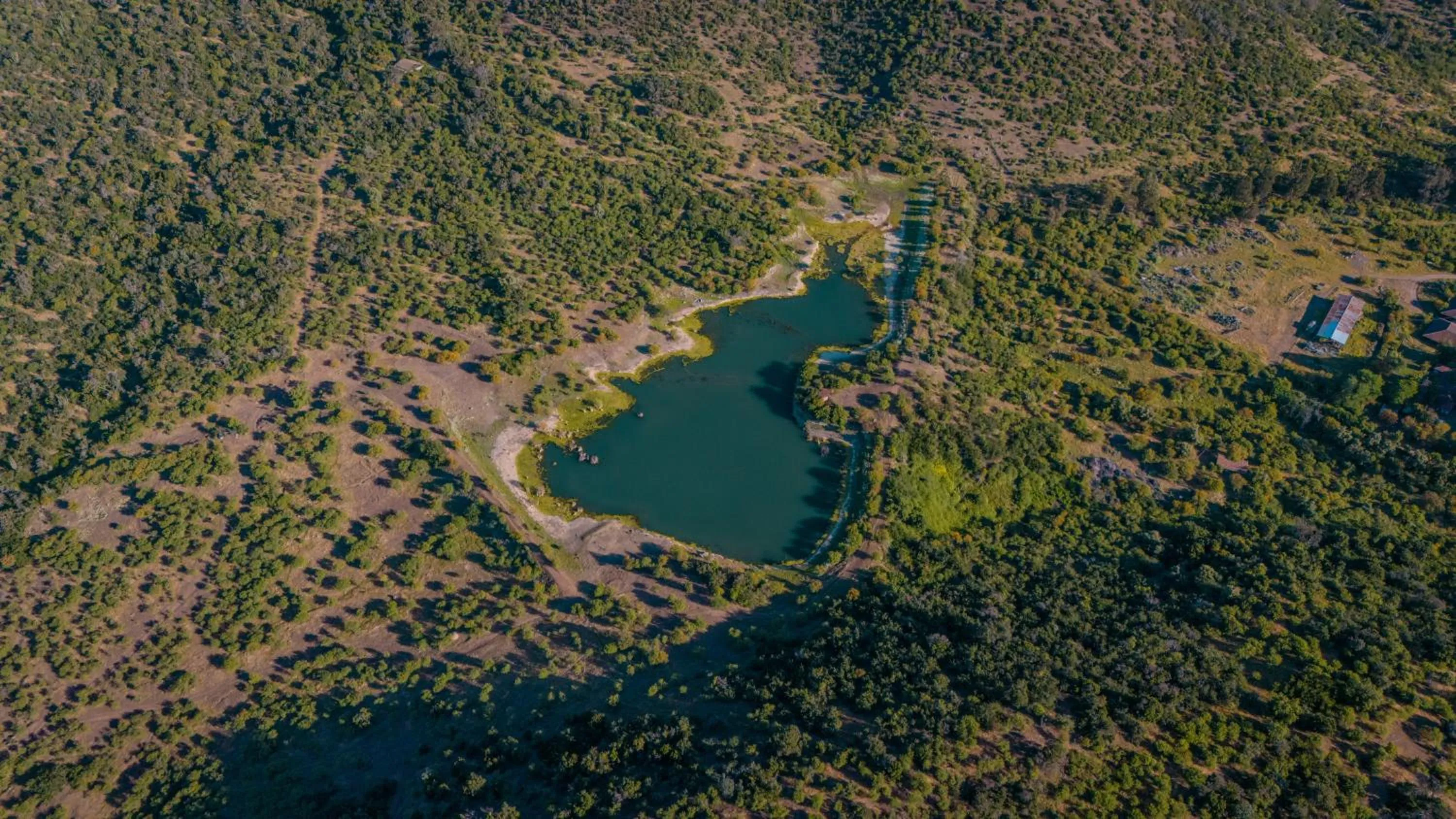 Hacienda los Lingues Chile Valle de Colchagua