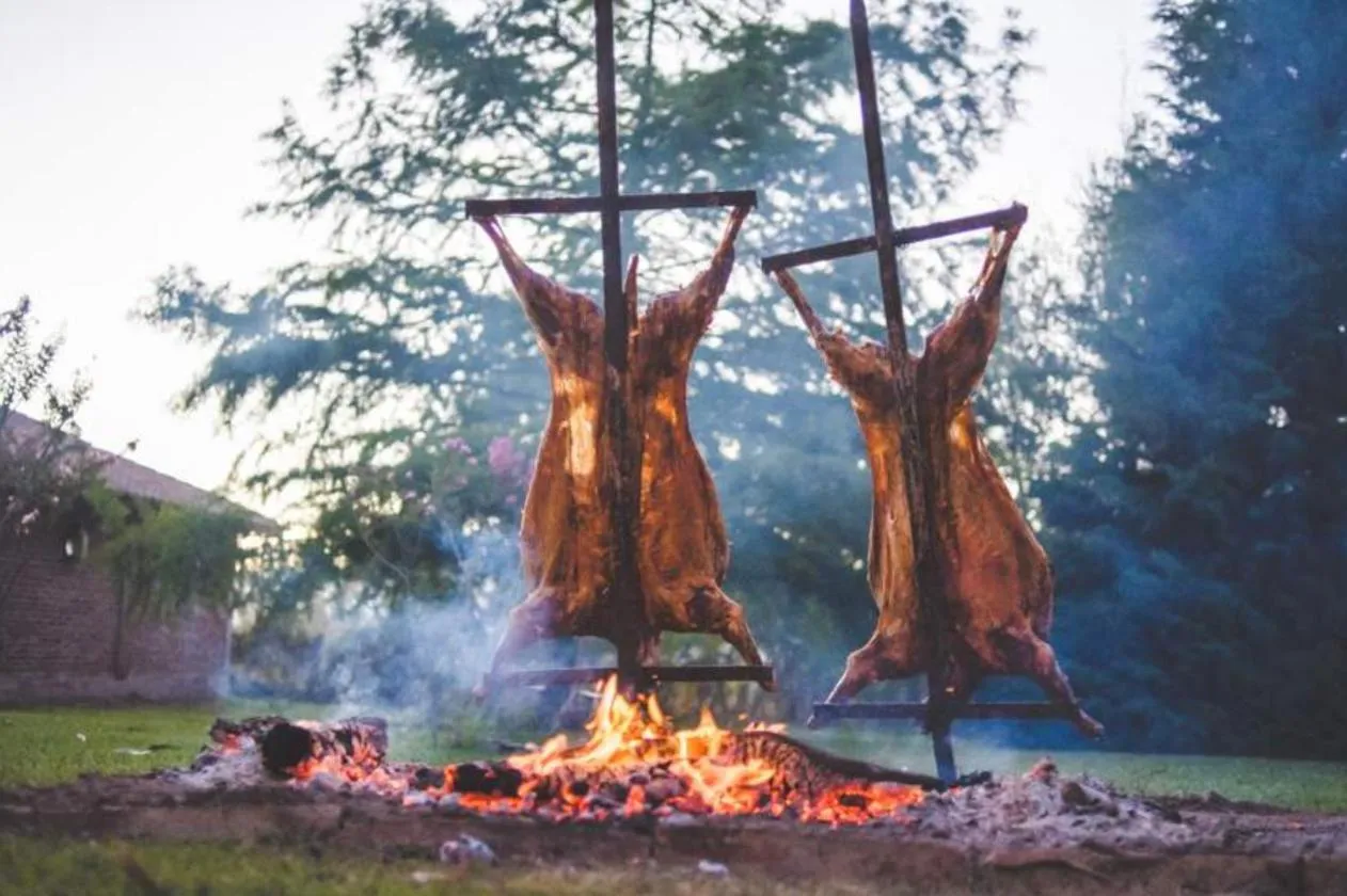 Activities in Hacienda los Lingues Chile Valle de Colchagua