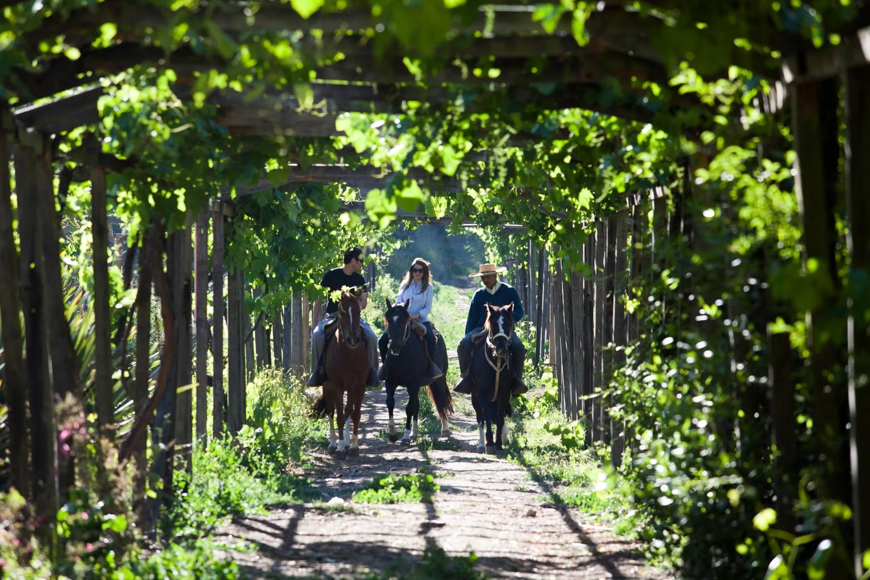 Horse-riding in Hacienda los Lingues Chile Valle de Colchagua