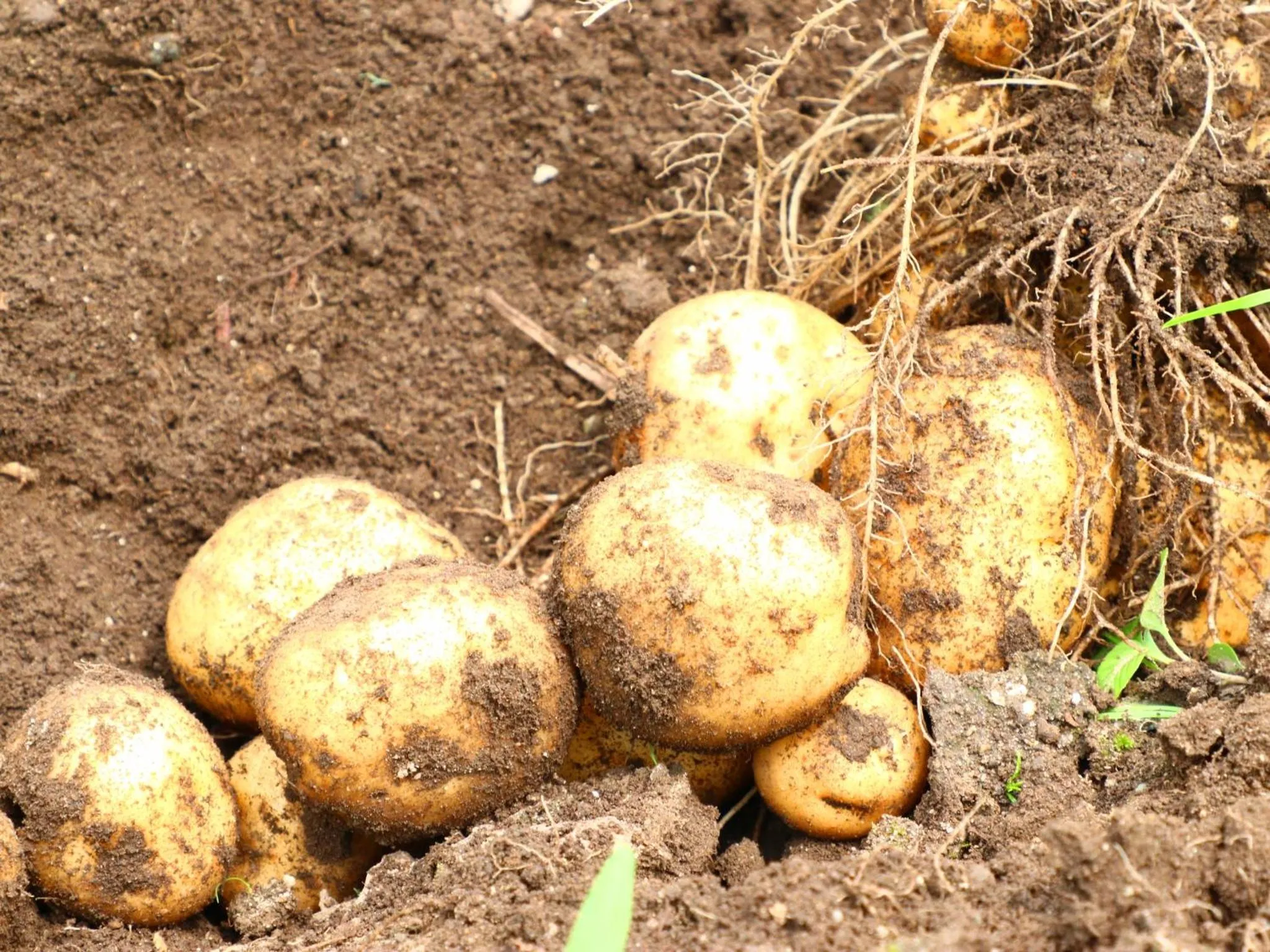Natural landscape in Takanoya