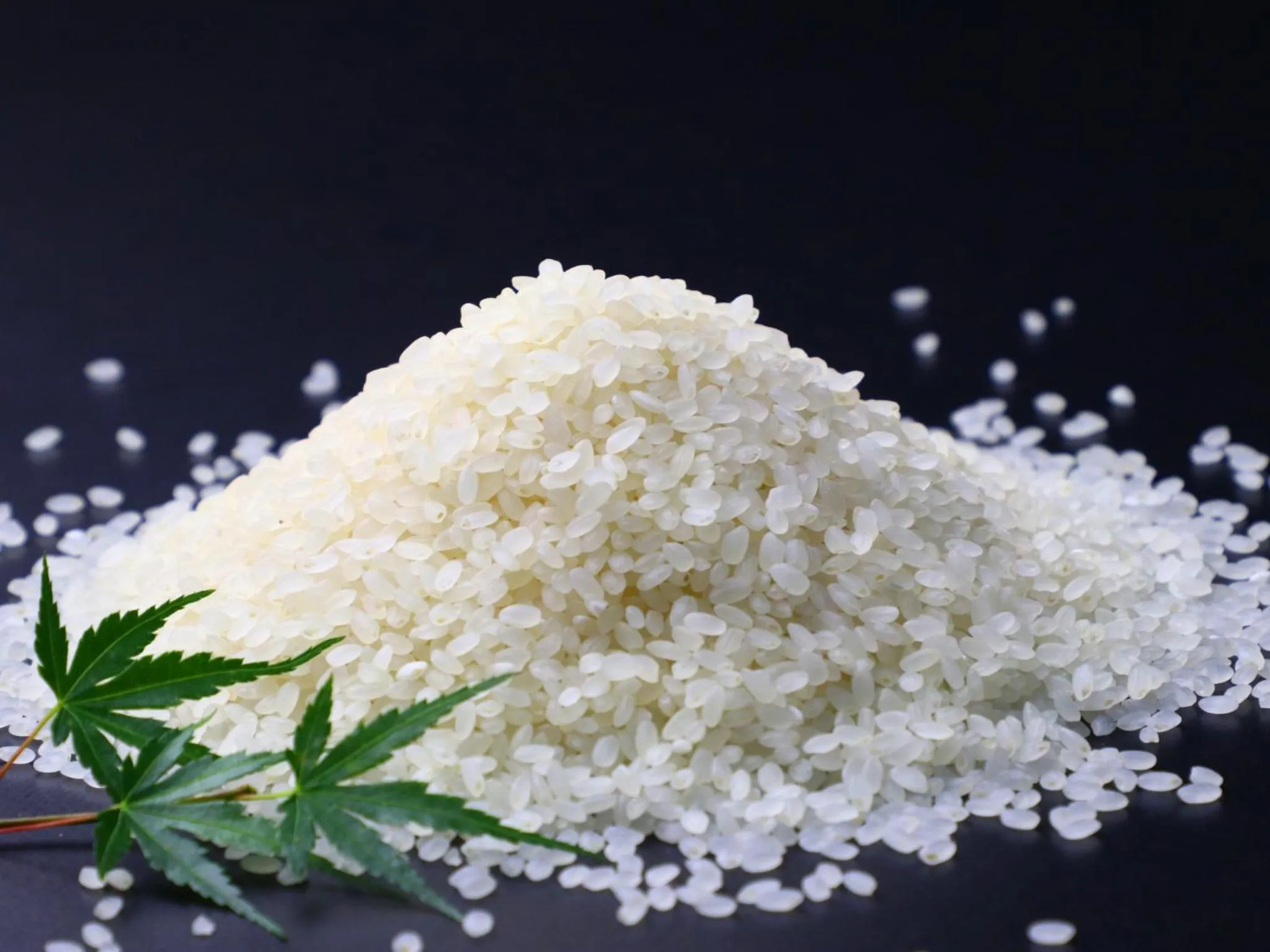 Food close-up in Takanoya