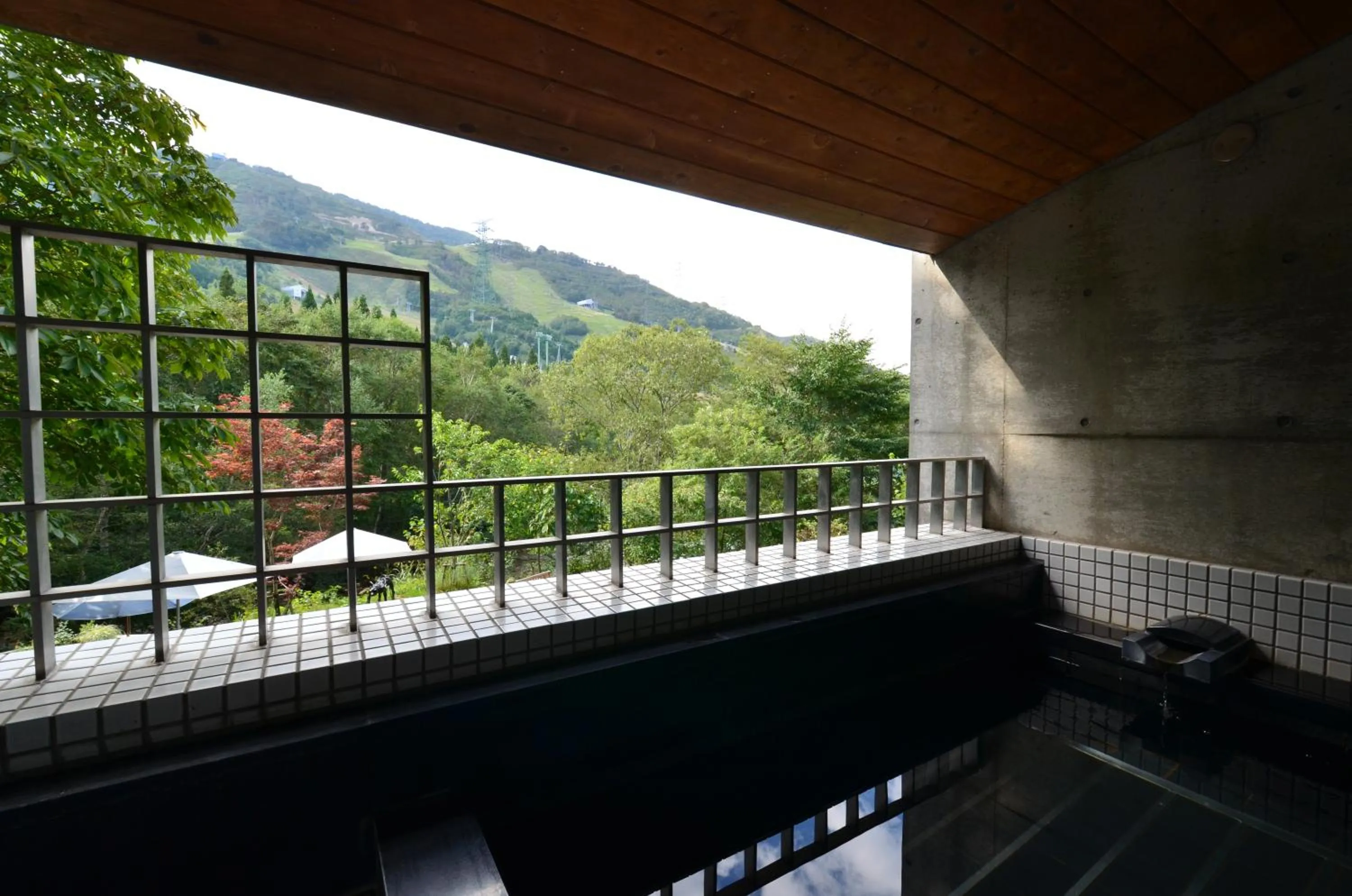 Hot Spring Bath in the Kinta Naeba