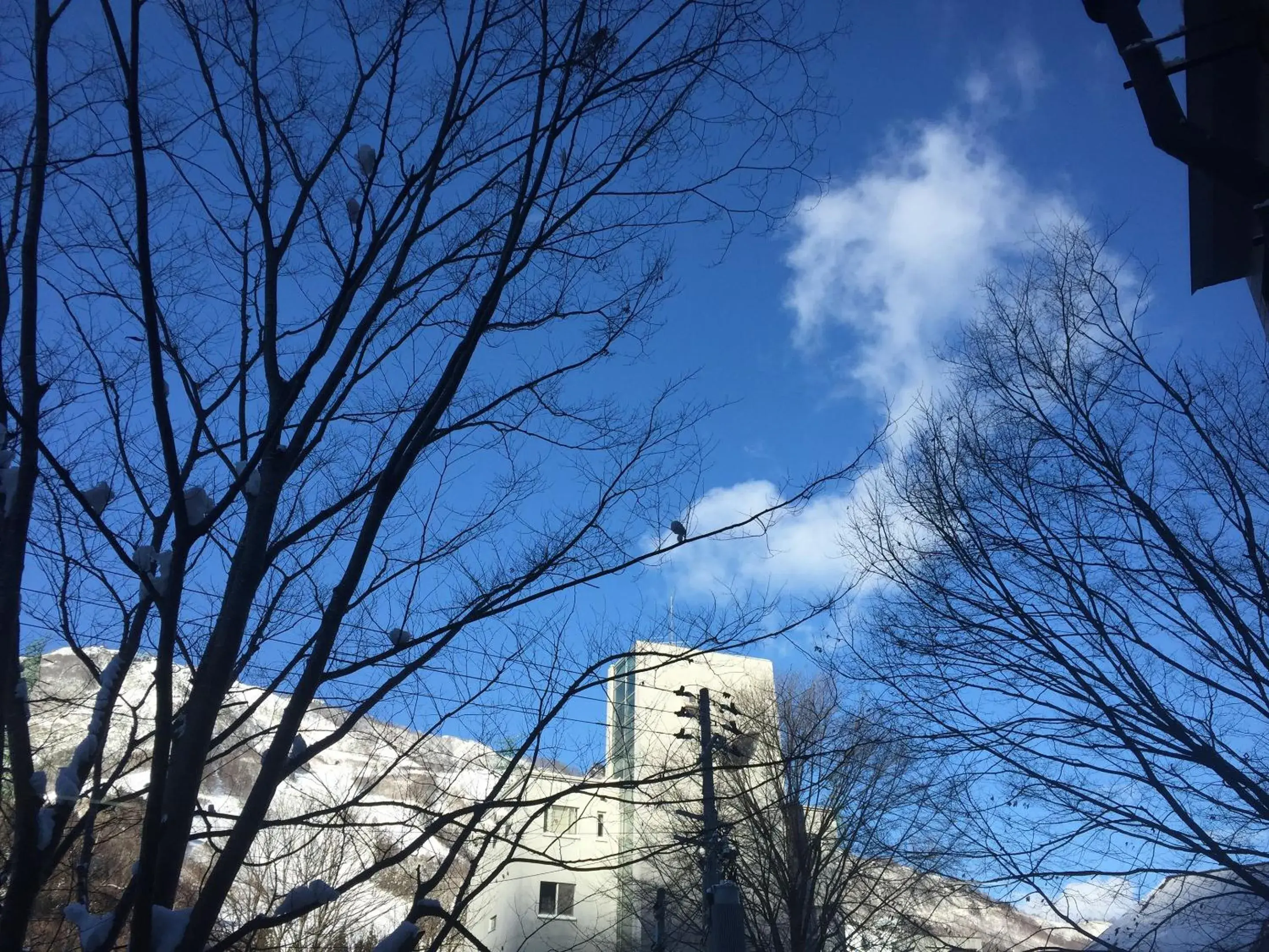 the Kinta Naeba the Kinta Naeba