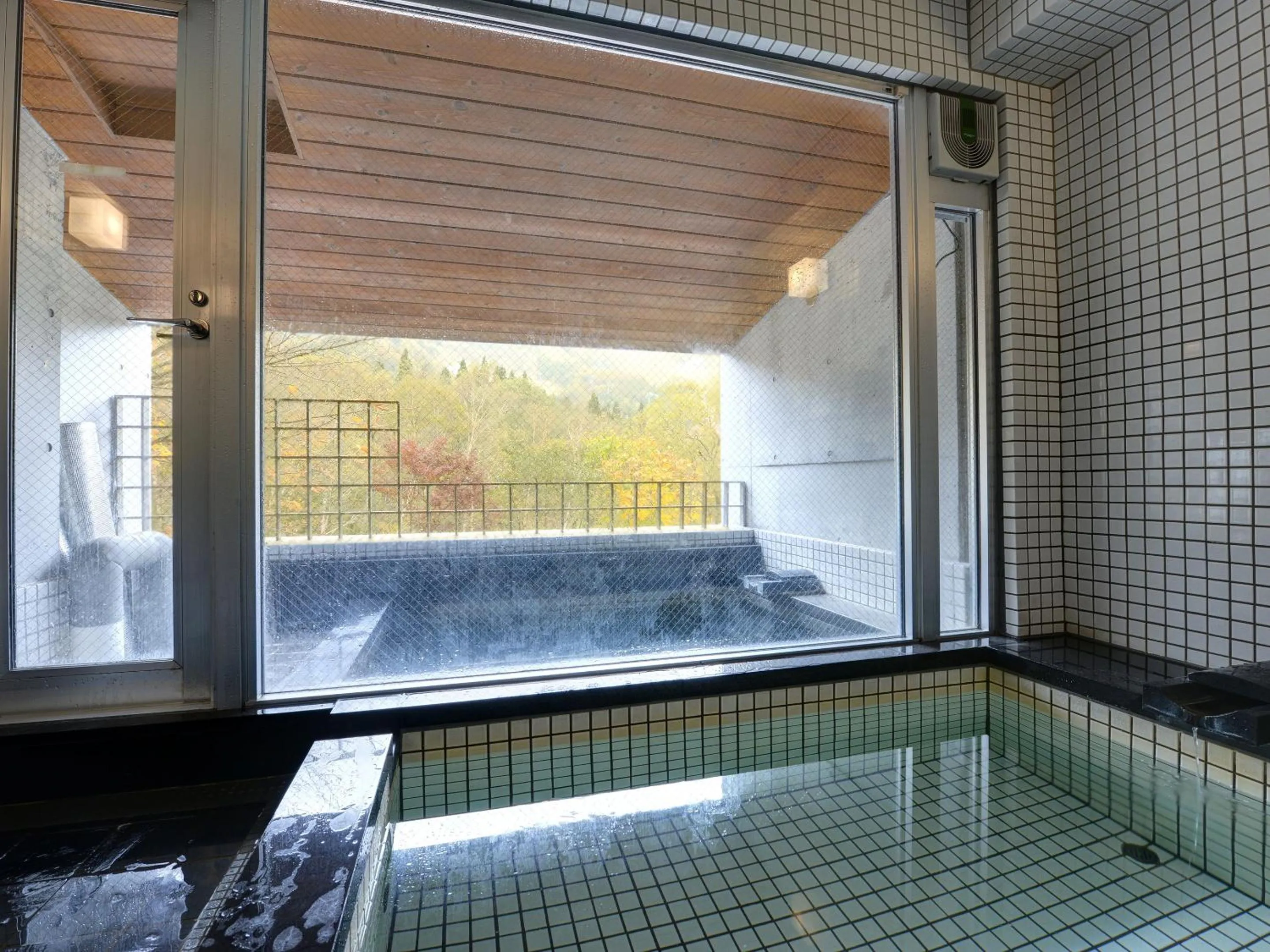 Public Bath in the Kinta Naeba