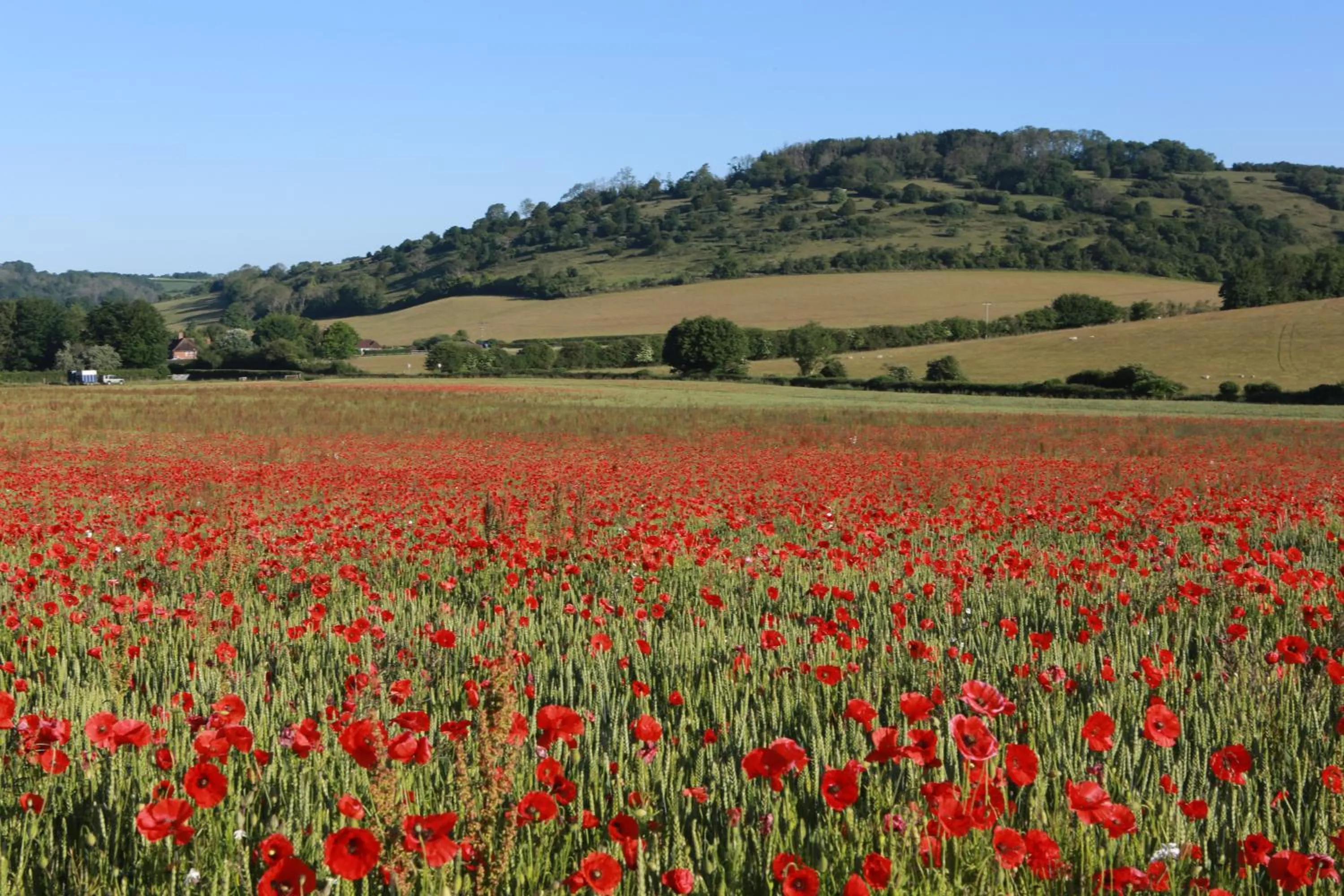 Charlton End - Goodwood Events