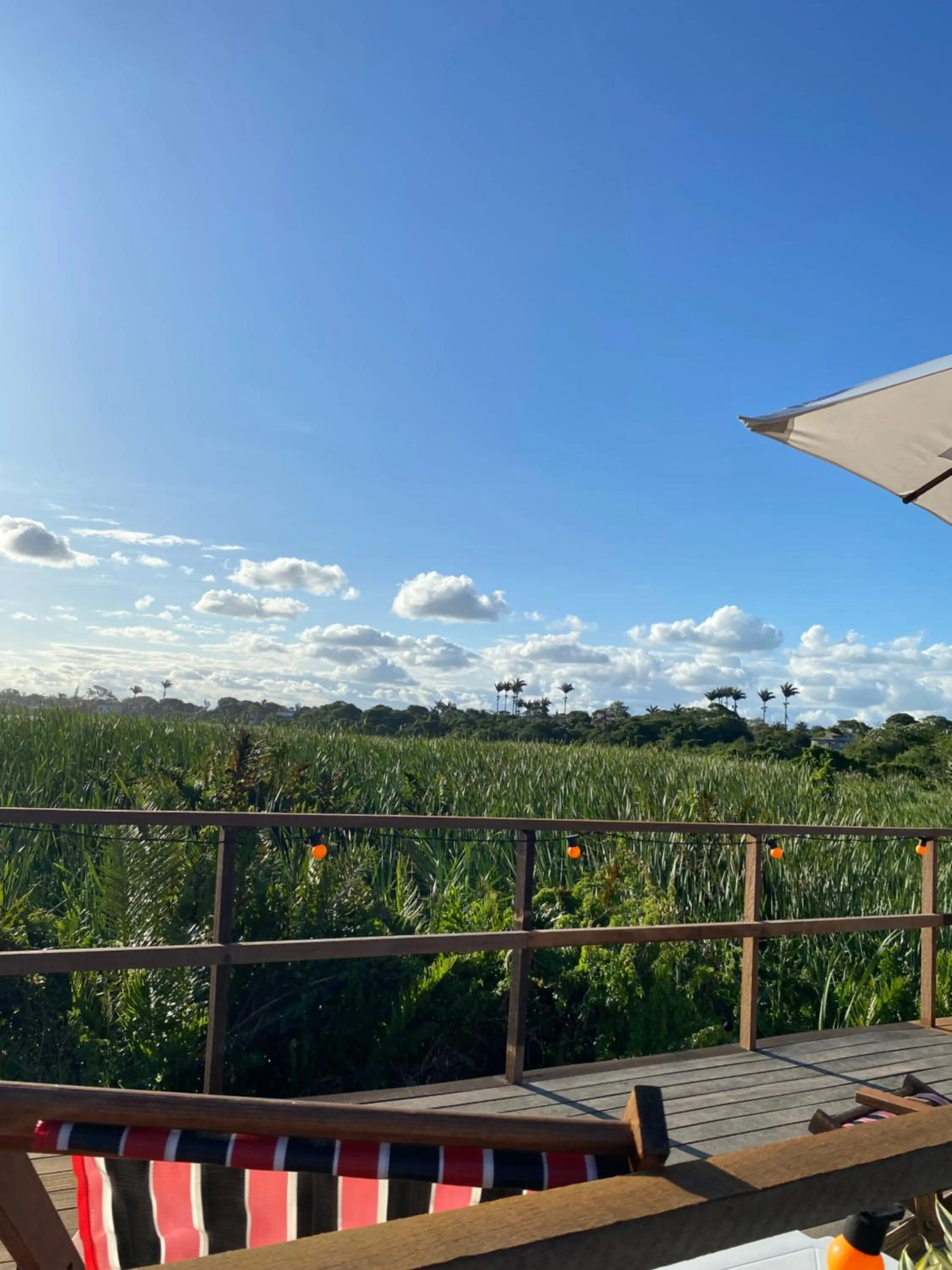 HTL PERSONALIZADA BUZIOS