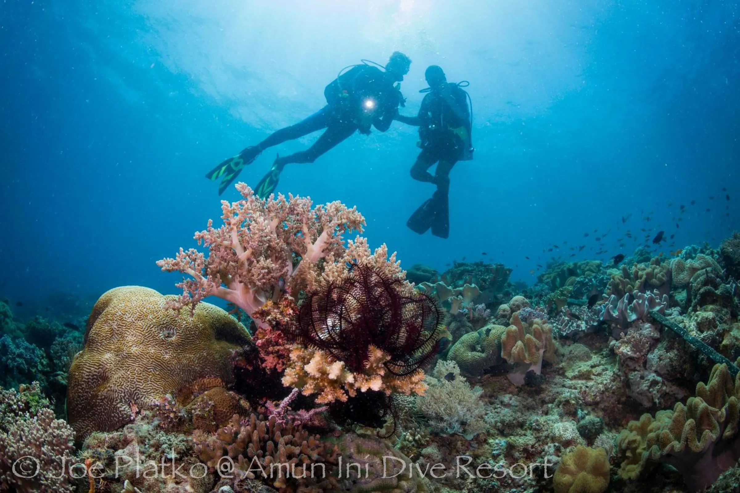 Diving in Amun Ini Beach Resort & Spa