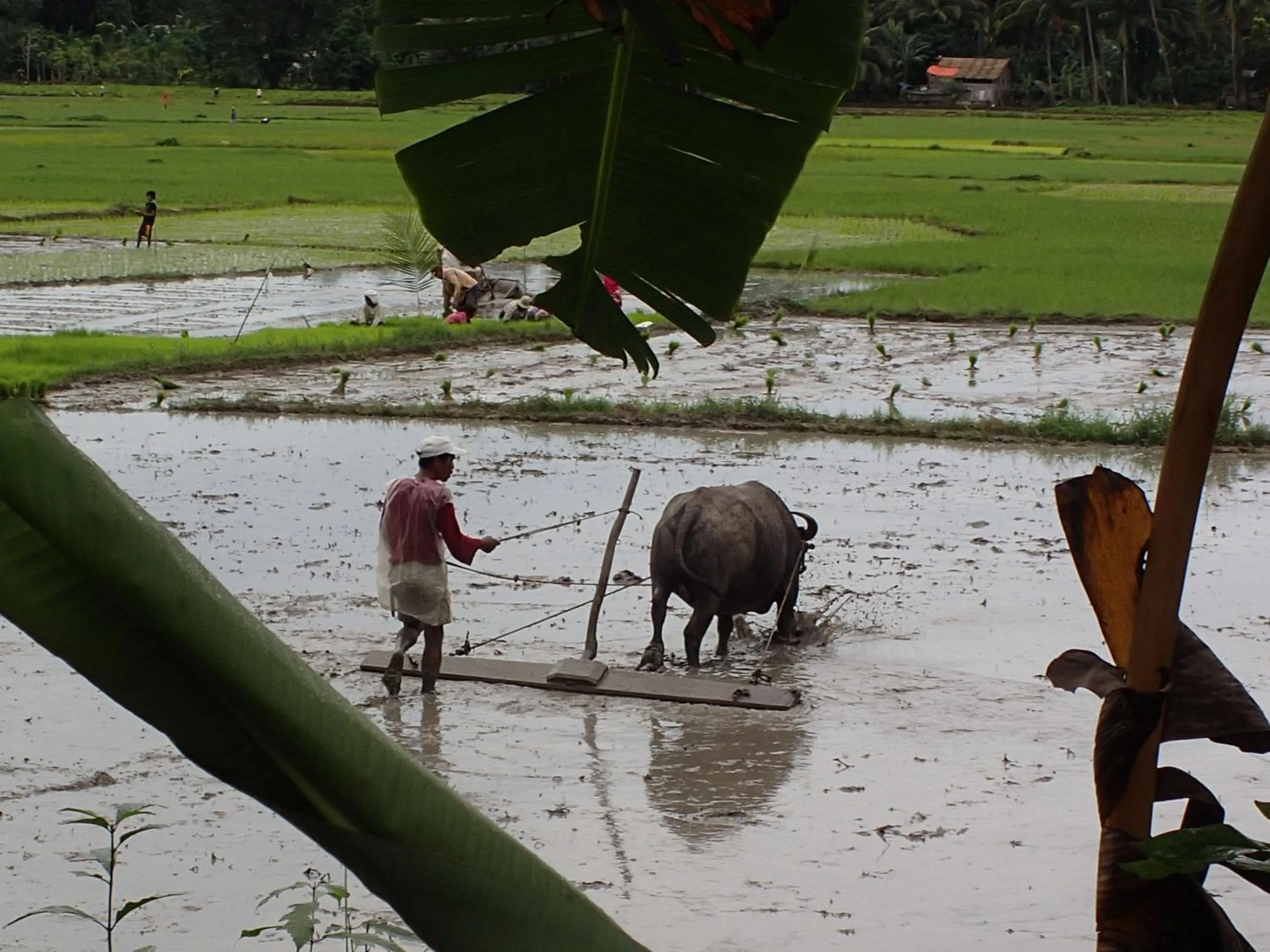Neighbourhood in Amun Ini Beach Resort & Spa