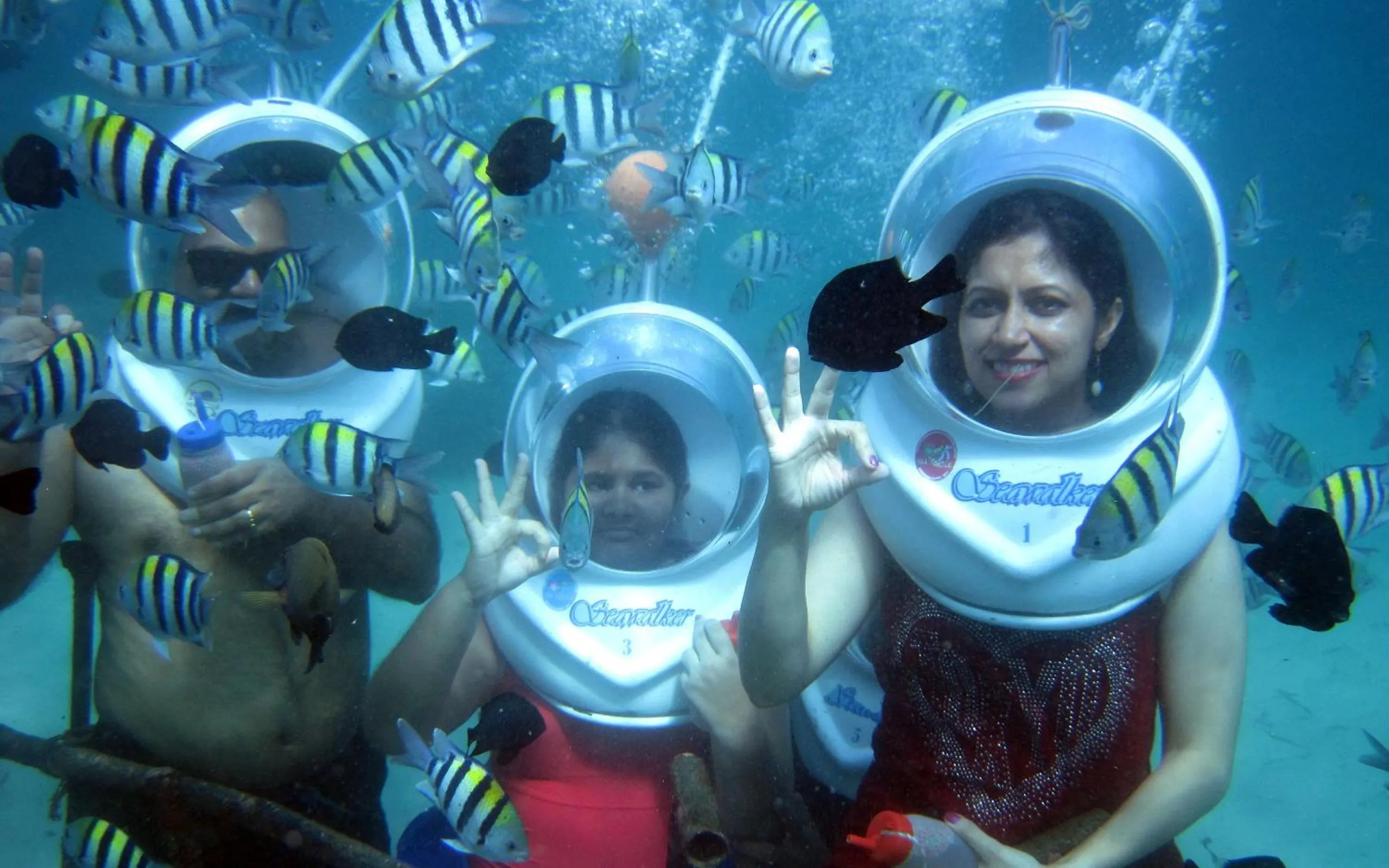 Activities in Samabe Bali Suites & Villas