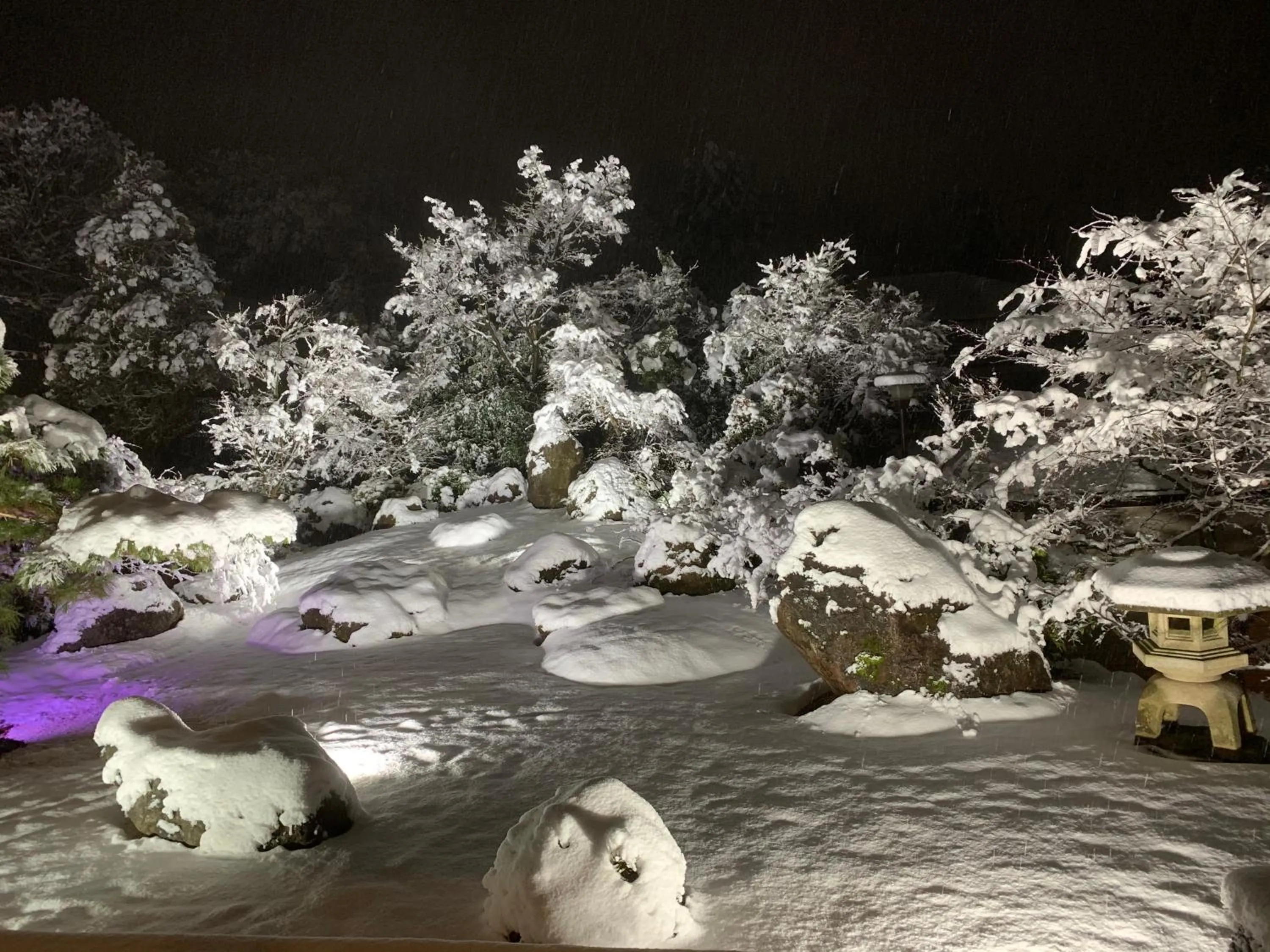 Garden in Onsen & Garden -Asante Inn-