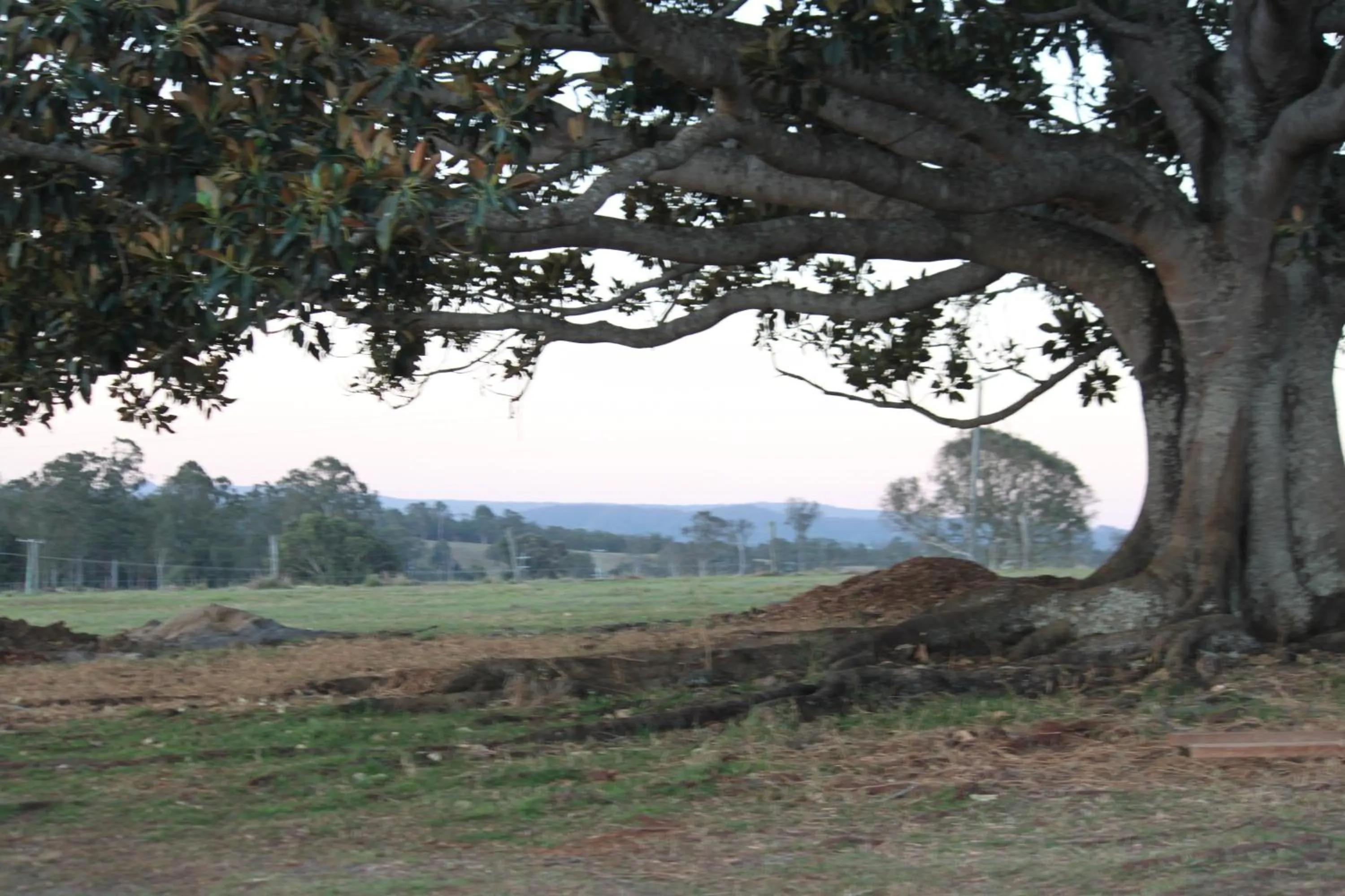 Natural landscape in Valley Cabins By The Creek