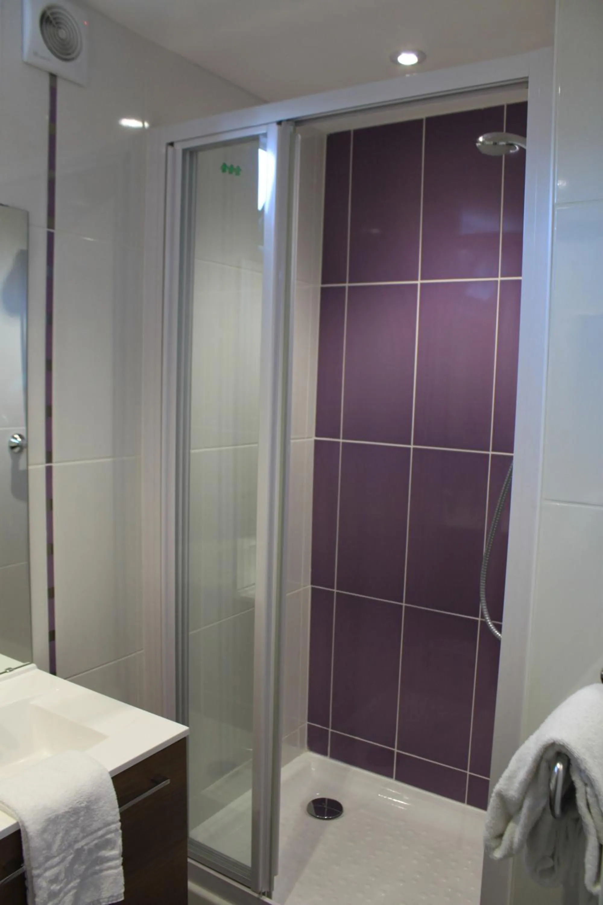 Shower in Hôtel de Paris - Dijon Centre Gare