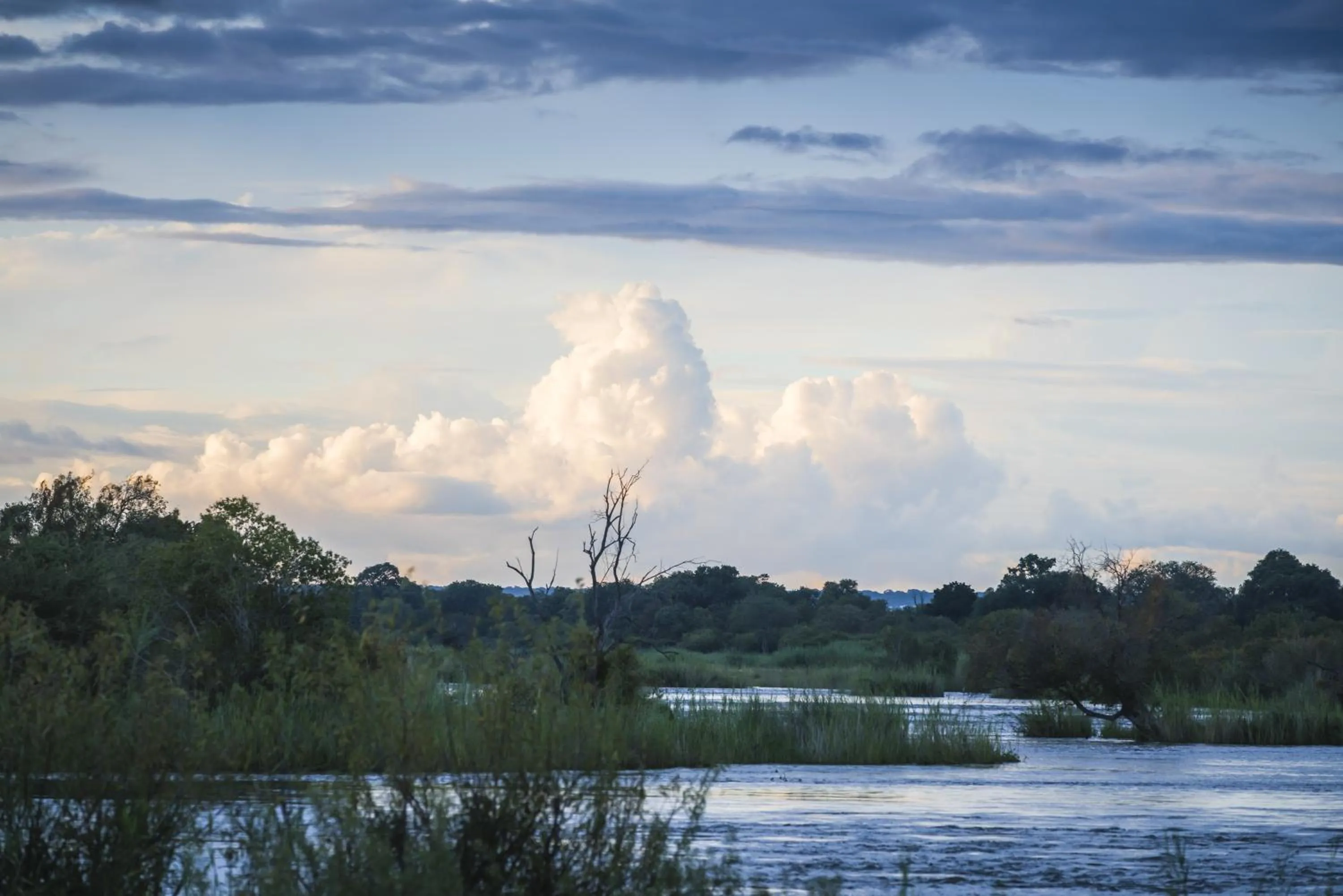 Garden in Avani Victoria Falls Resort