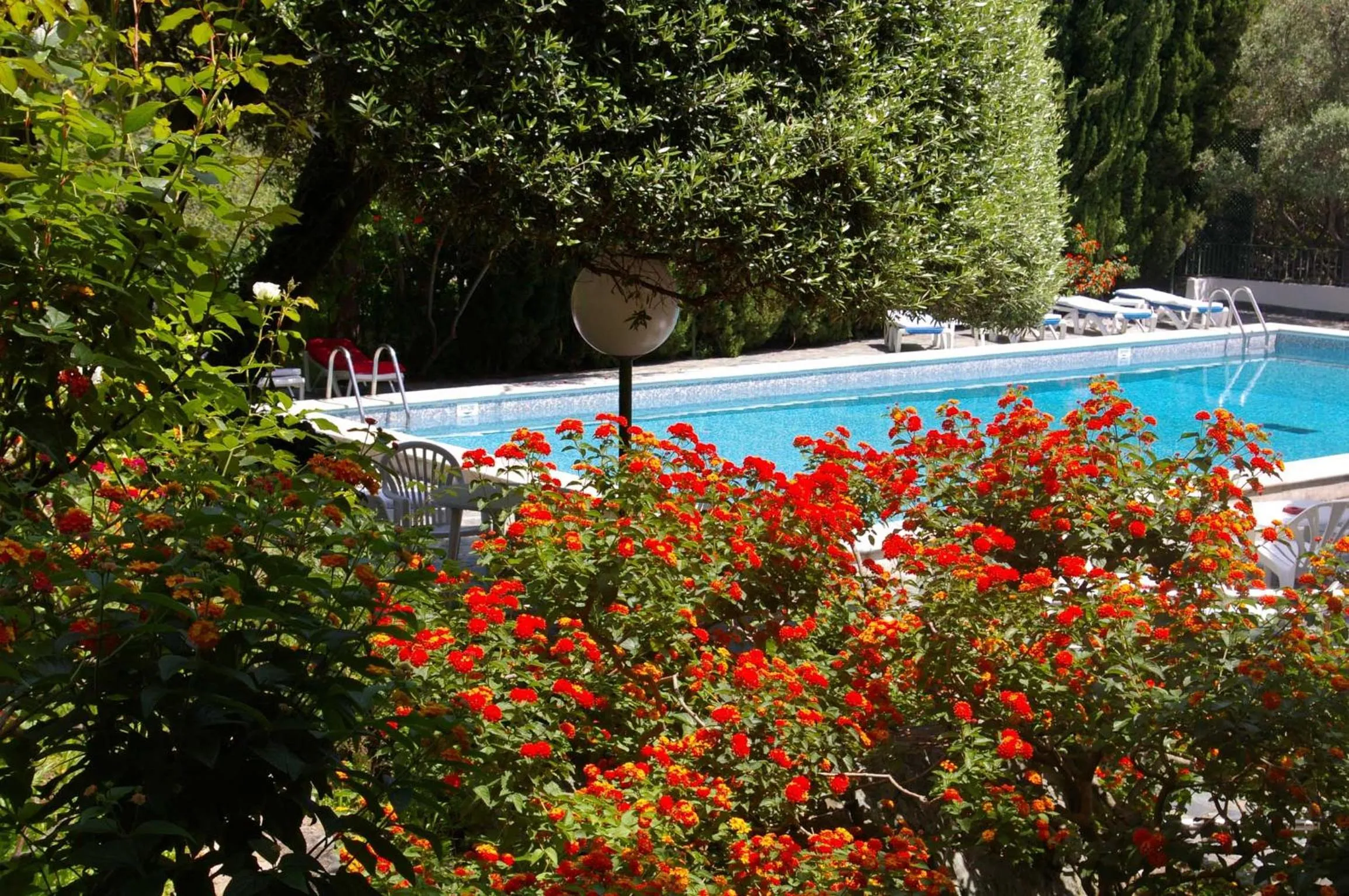 Pool view in Hôtel Pietracap