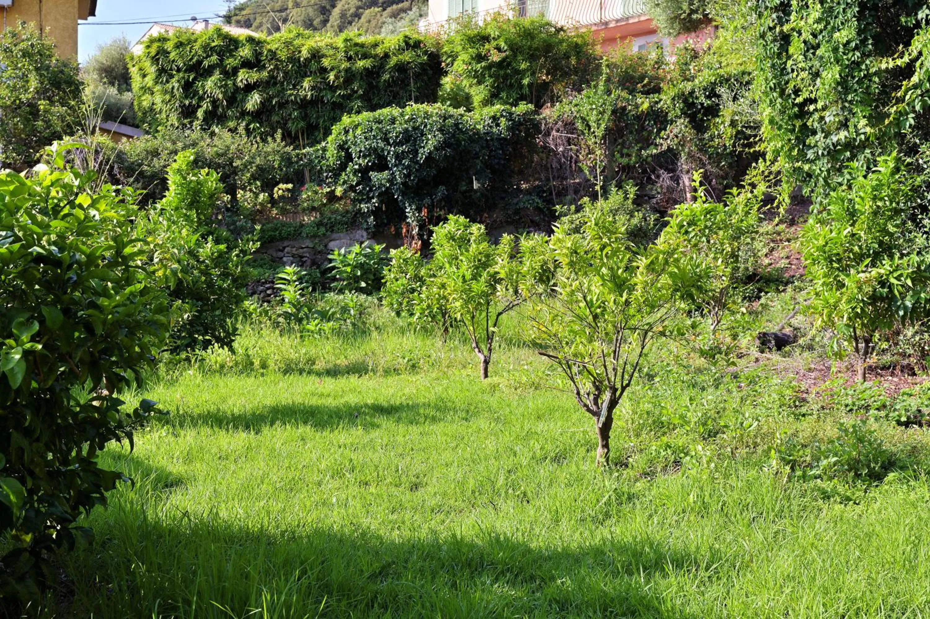 Garden in Hôtel Pietracap
