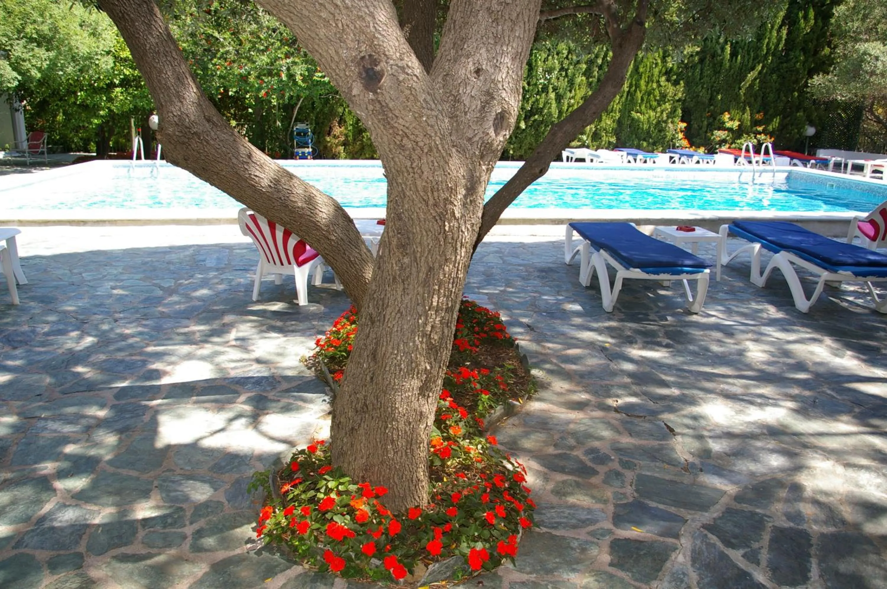 Day in Hôtel Pietracap