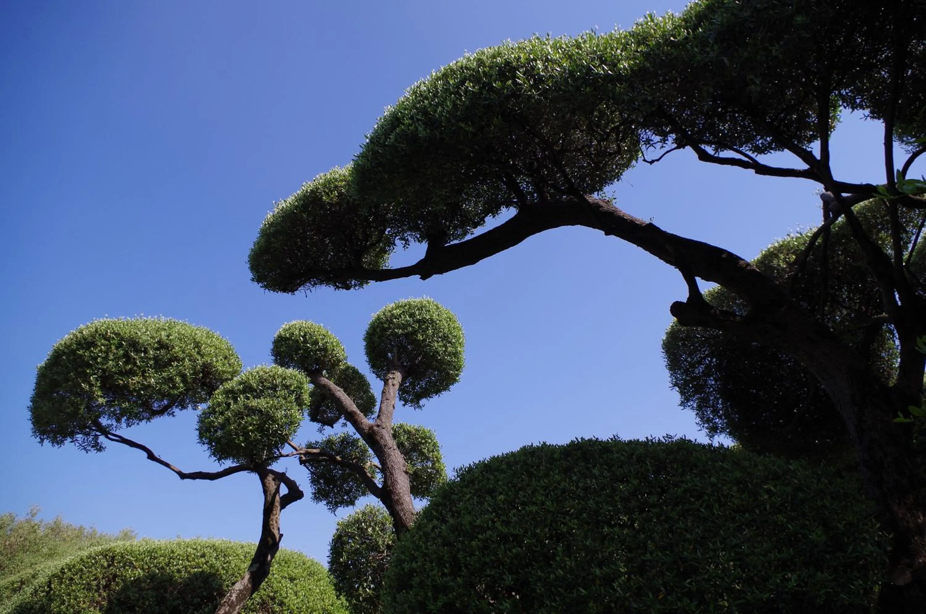 Day in Hôtel Pietracap