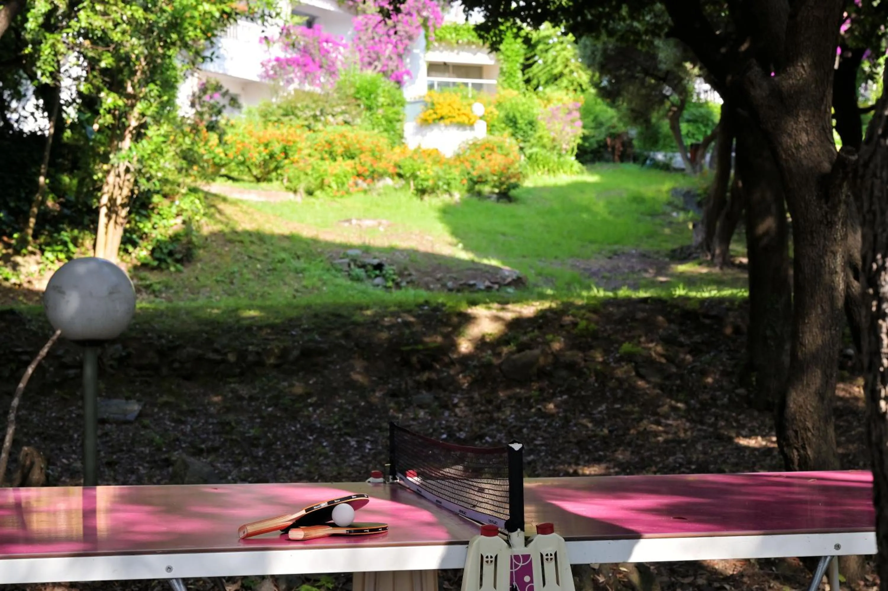 Table tennis in Hôtel Pietracap