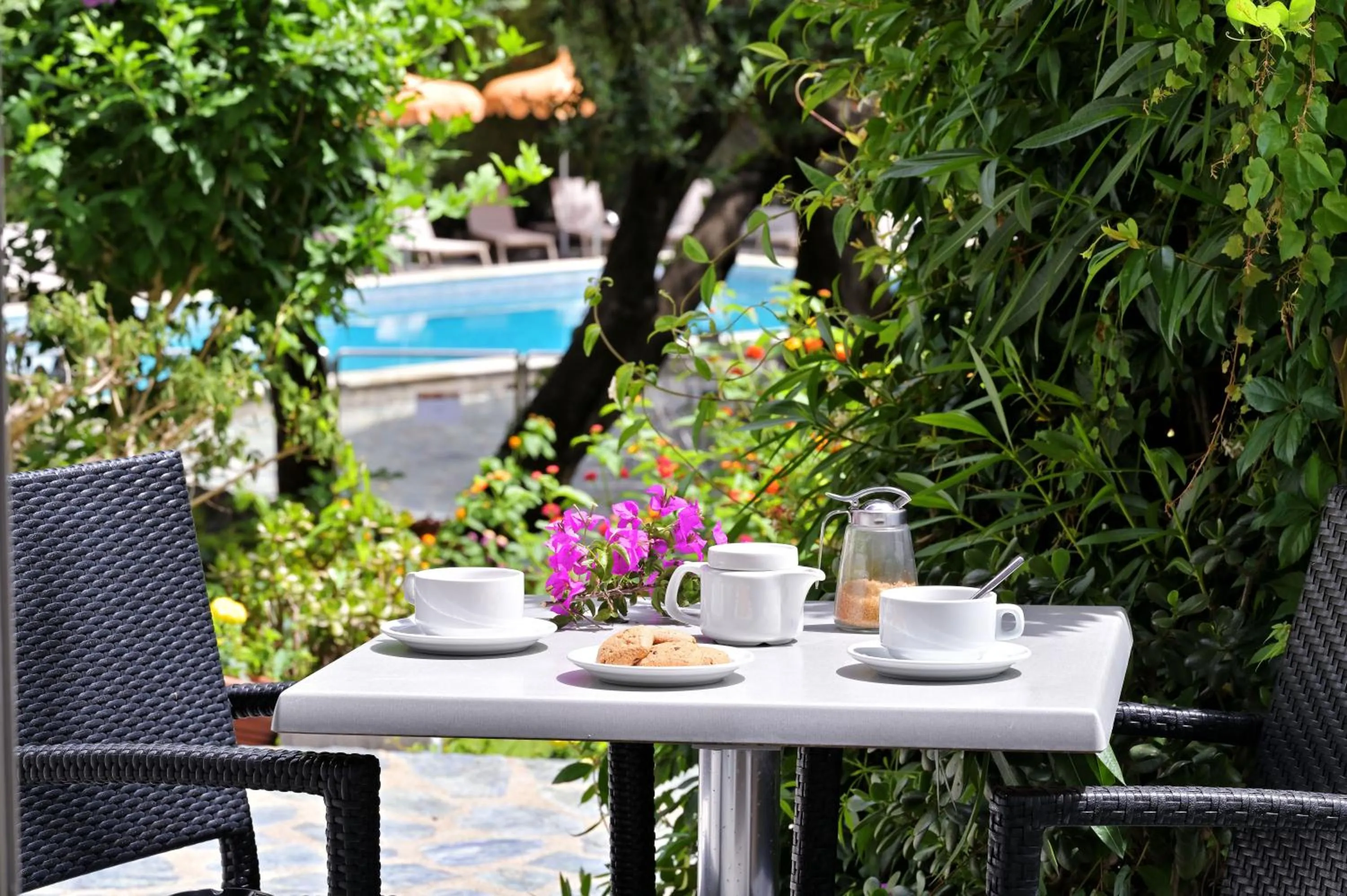 Garden in Hôtel Pietracap