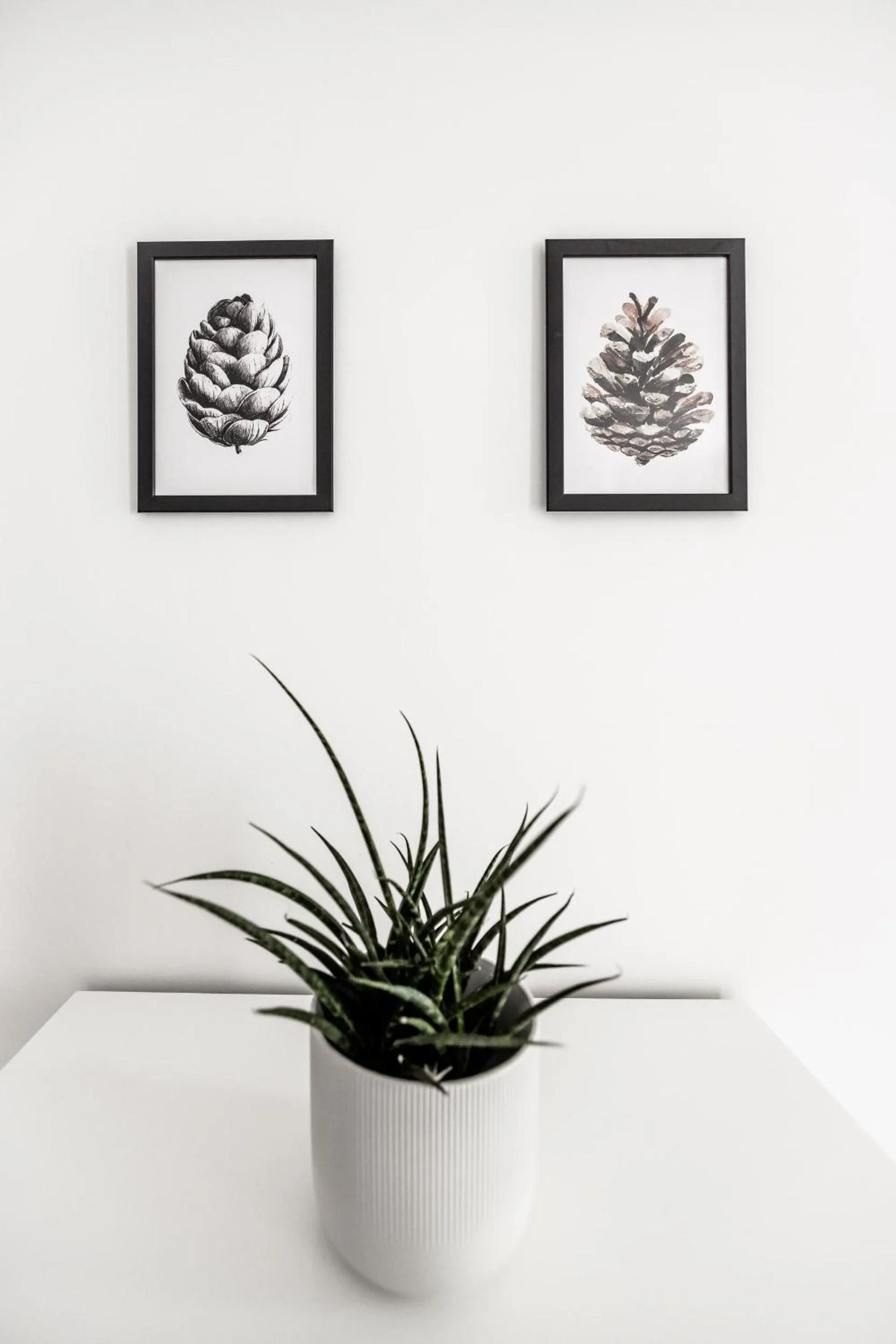 Decorative detail in Quercus Appartements contactless check-in