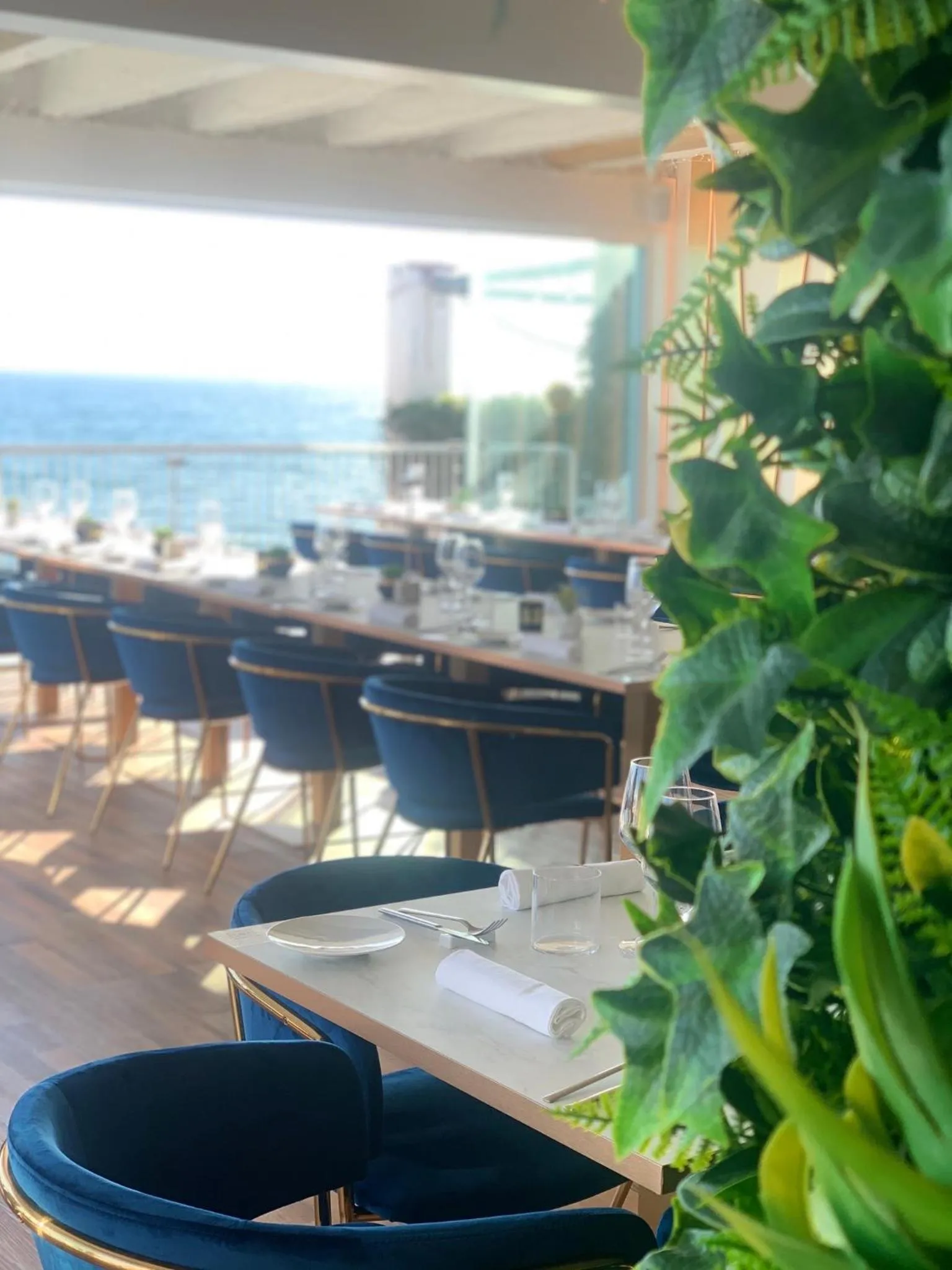 Restaurant/places to eat in RITUAL SUNSET LOVER