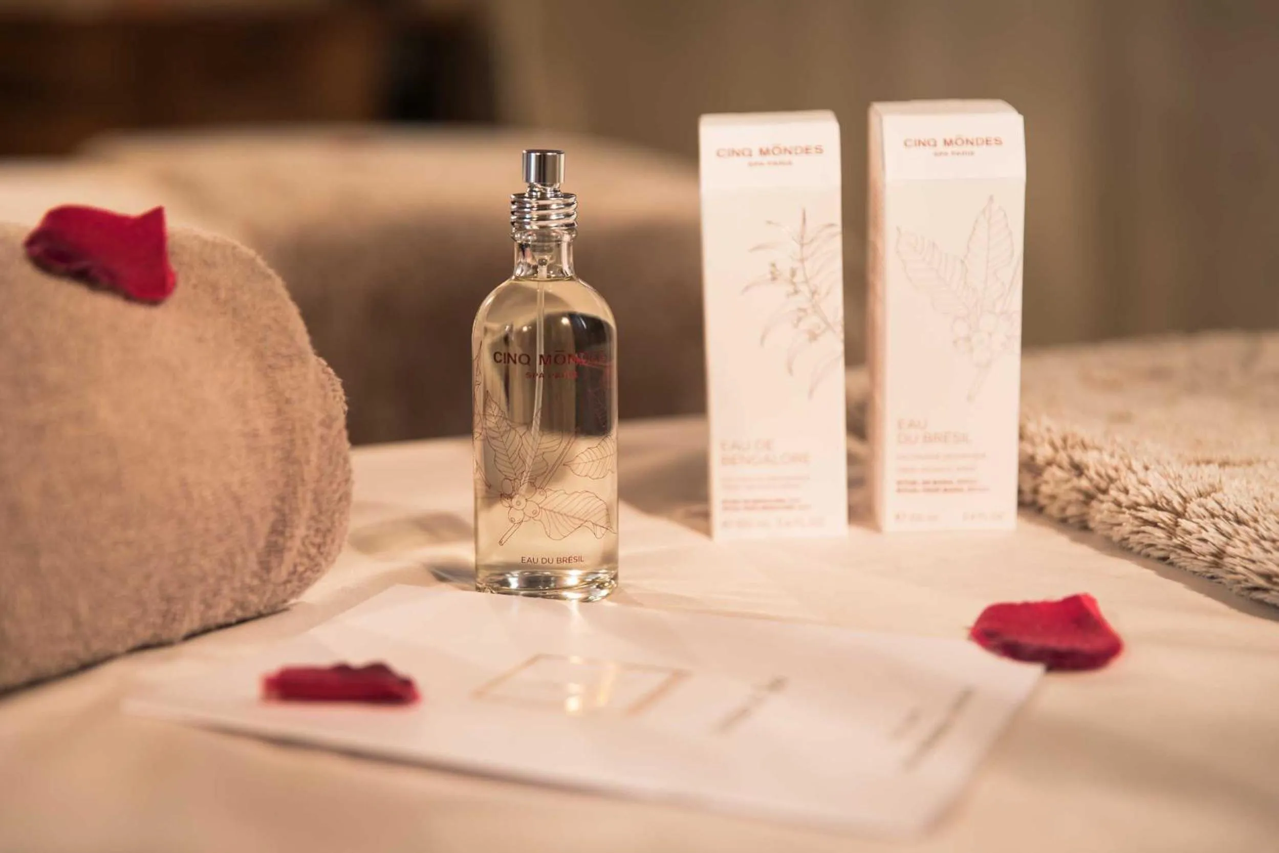 Spa and wellness centre/facilities in La Maison Rouge