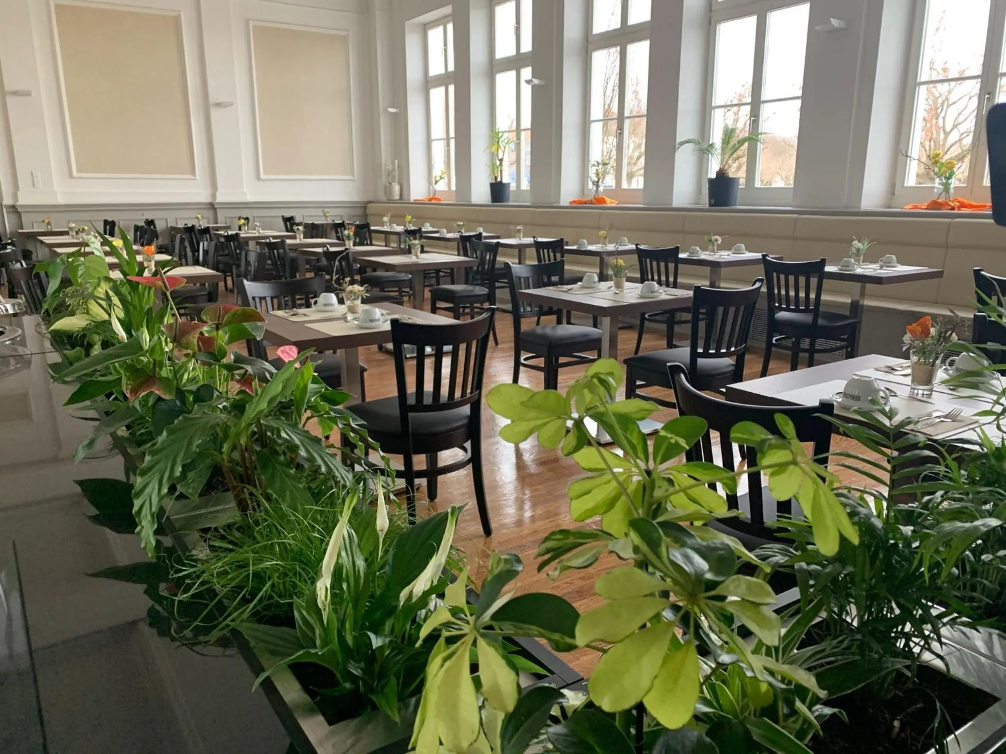 Restaurant/places to eat in Parkhotel Putbus Superior International