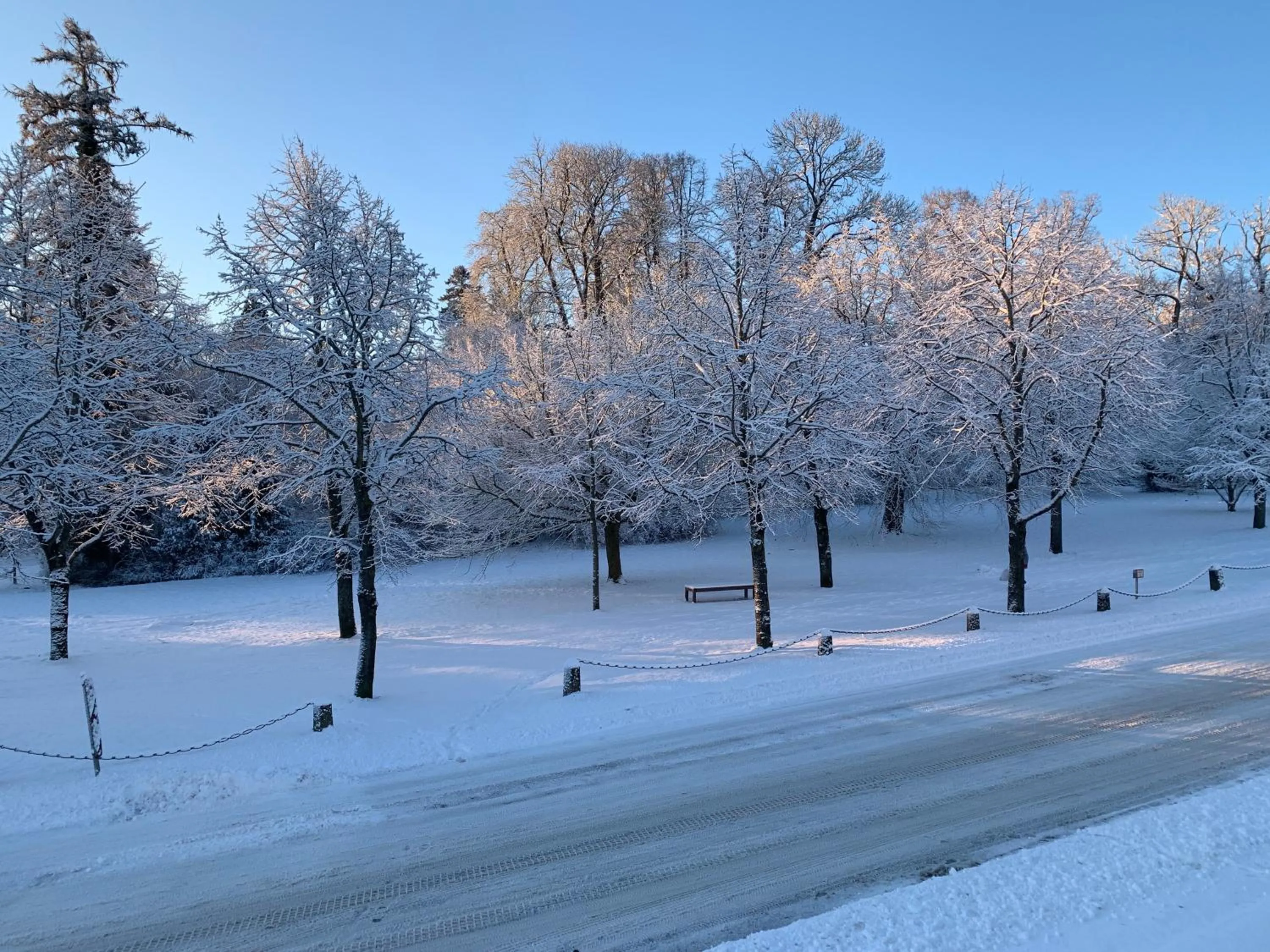 View (from property/room) in Parkhotel Putbus Superior International