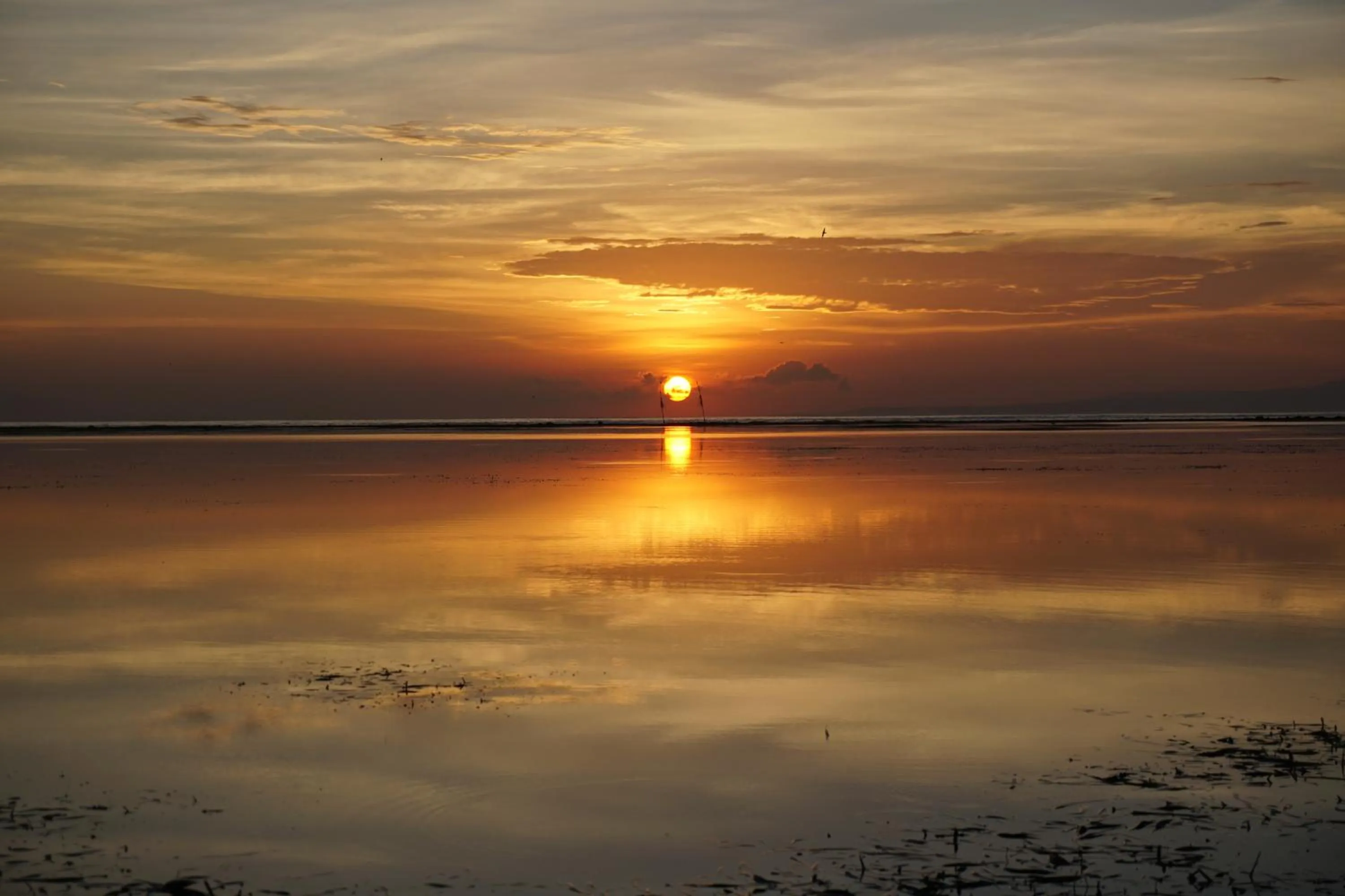 Garden in Praschita Bali